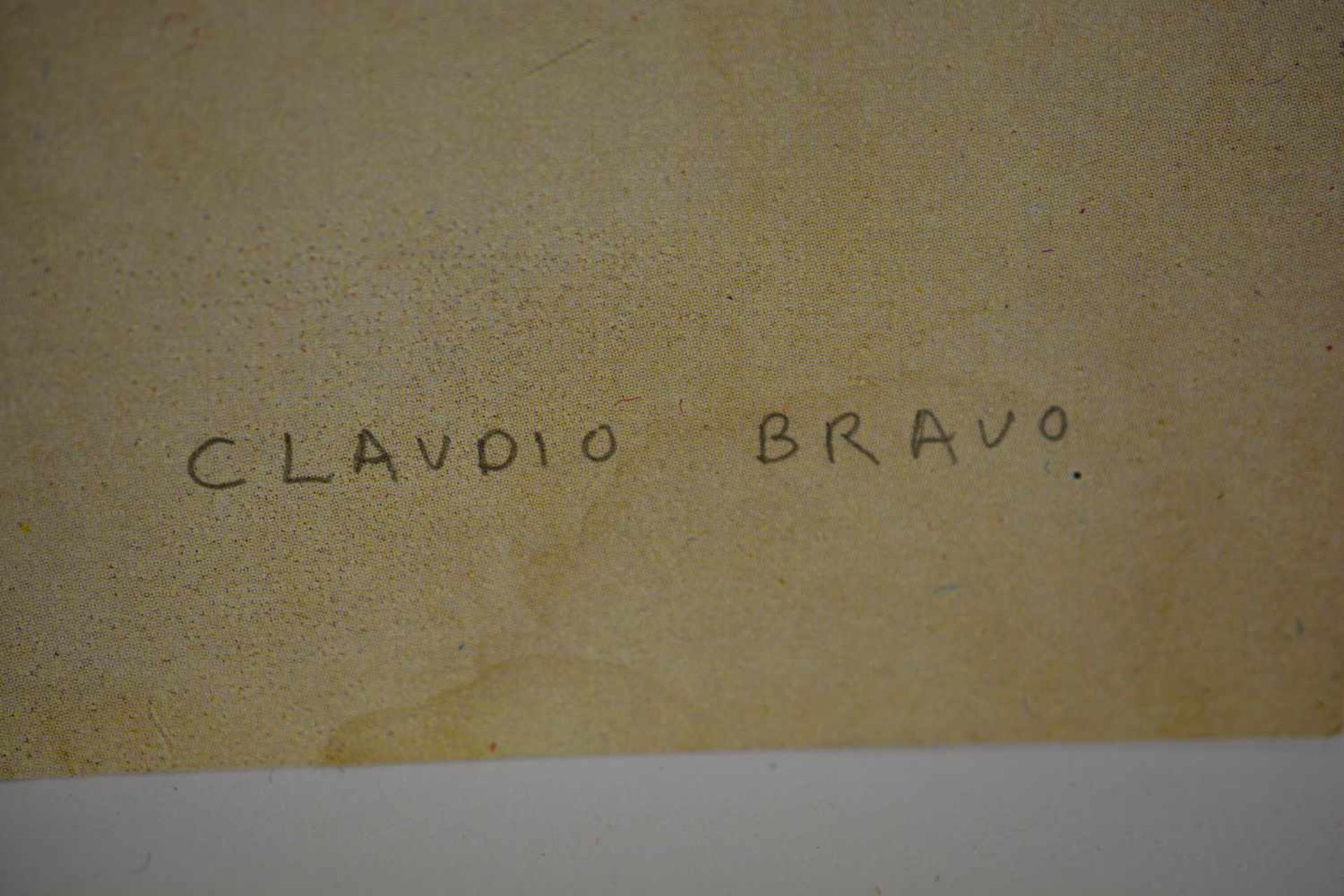 Claudio Bravo (1936 Valparaiso - 2011 Taroudannt)The Lamb, Offsetlithografie auf Papier, 65 cm x - Bild 3 aus 3