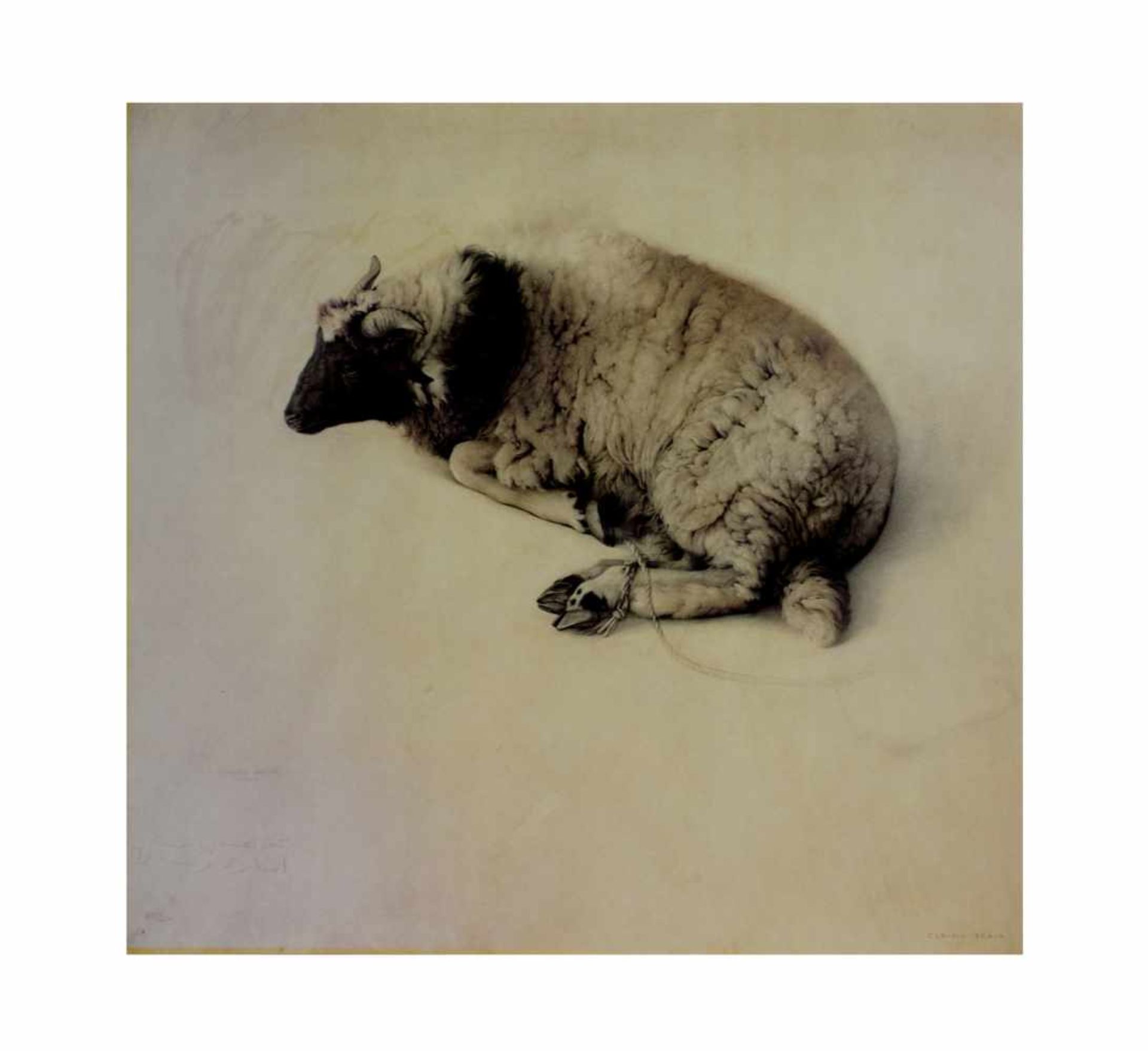 Claudio Bravo (1936 Valparaiso - 2011 Taroudannt)The Lamb, Offsetlithografie auf Papier, 65 cm x