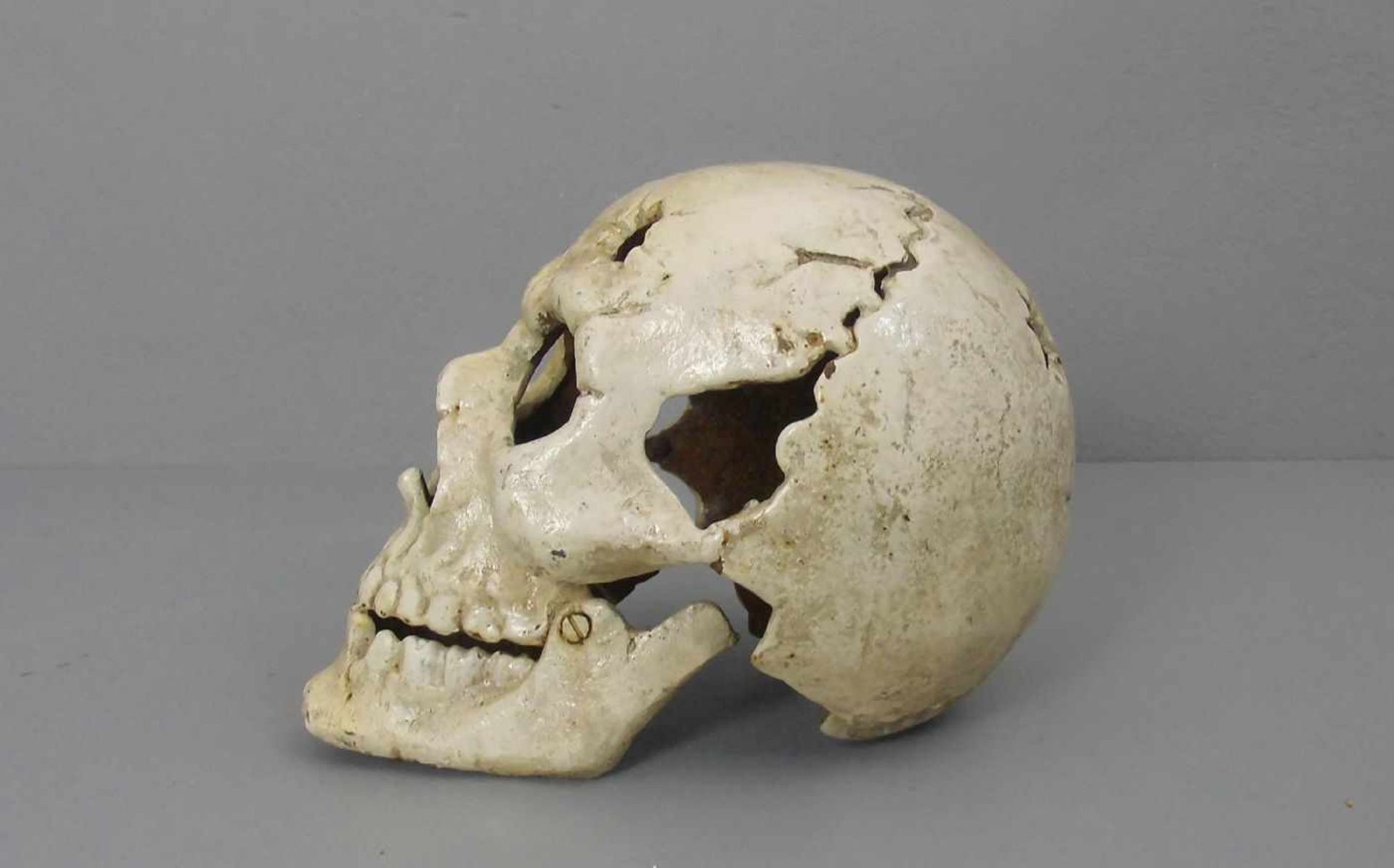SCHÄDEL / MEMENTO MORI / skull, 20. Jh., Eisen, in leichter Stilisierung naturalistisch gearbeitet - Image 2 of 4