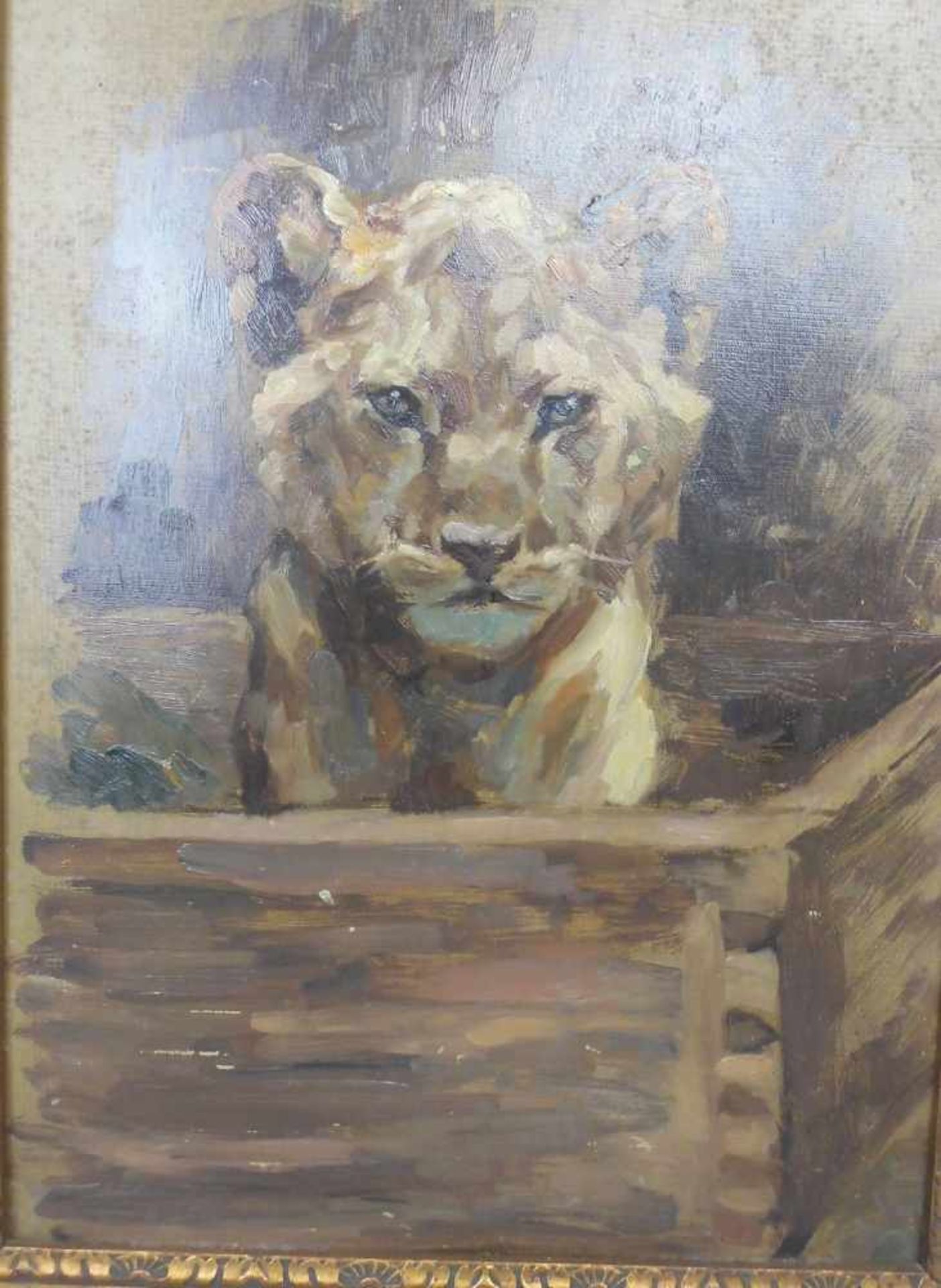 CASPRZIG, HEDWIG (Darkehmen / Ostpreußen 1886-1958 Berlin), Gemälde / painting: "Junger Löwe", Öl - Bild 3 aus 4