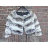 CHINCHILLA BOLERO / KLEINES PELZ-JÄCKCHEN / chinchilla bolero jacket, wohl Größe 34 (XS). Chinchilla