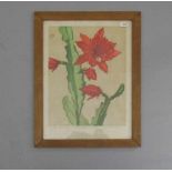 RÖTTEKEN, ERNST (Detmold 1882-1945), Farblinolschnitt: "Roter Blätterkaktus", mit Bleistift signiert