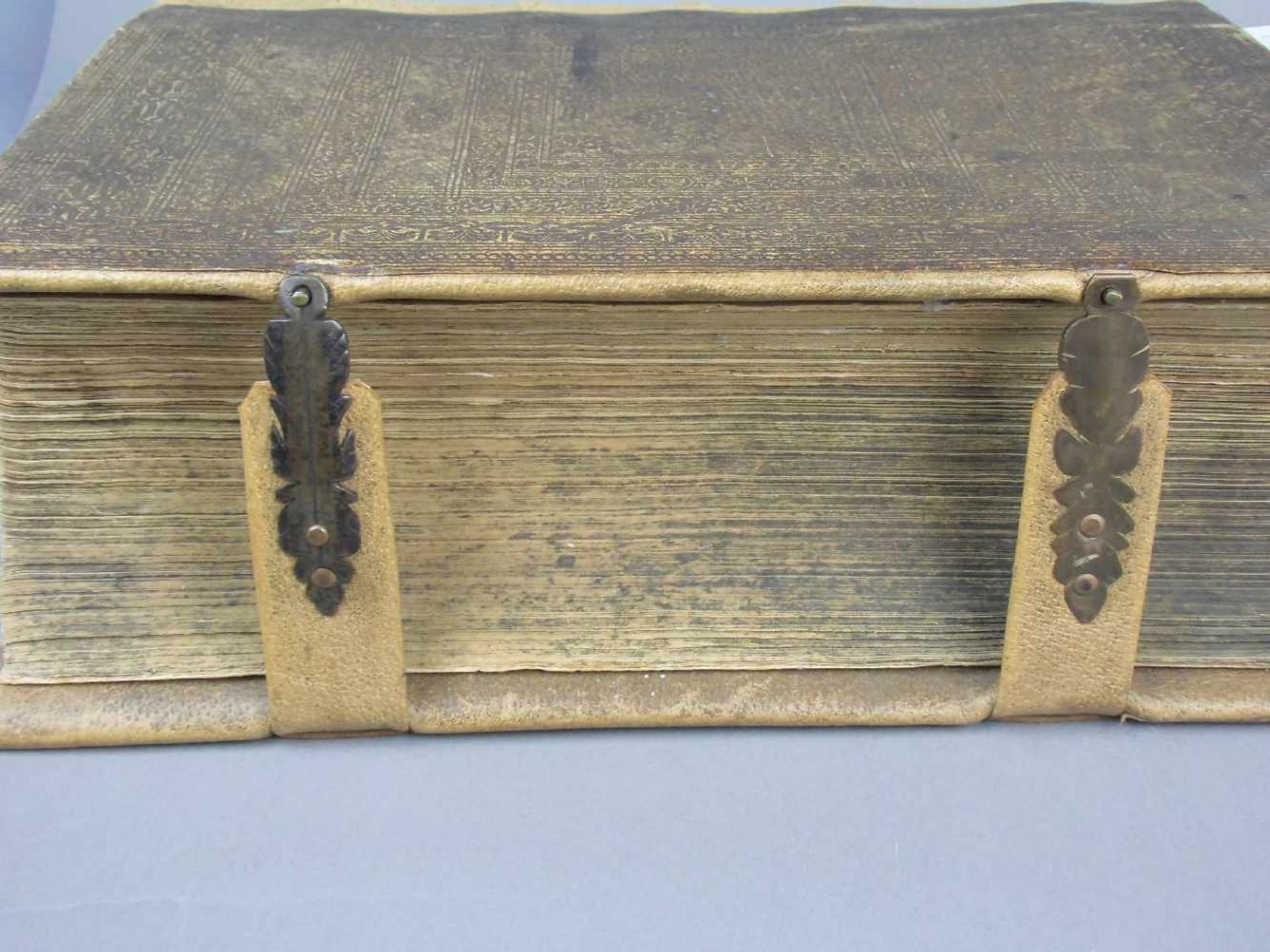 RENAISSANCE BIBEL / LUTHERBIBEL MIT STICHEN VON VIRGIL (auch Virgilus) SOLIS d. Ä. (Nürnberg 1514- - Image 19 of 25