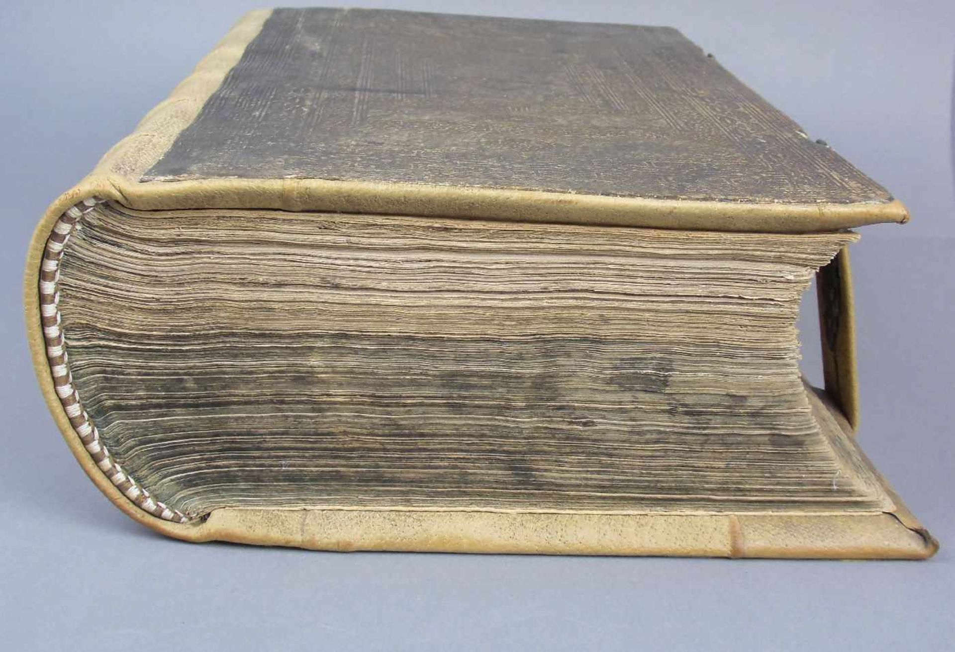 RENAISSANCE BIBEL / LUTHERBIBEL MIT STICHEN VON VIRGIL (auch Virgilus) SOLIS d. Ä. (Nürnberg 1514- - Image 20 of 25