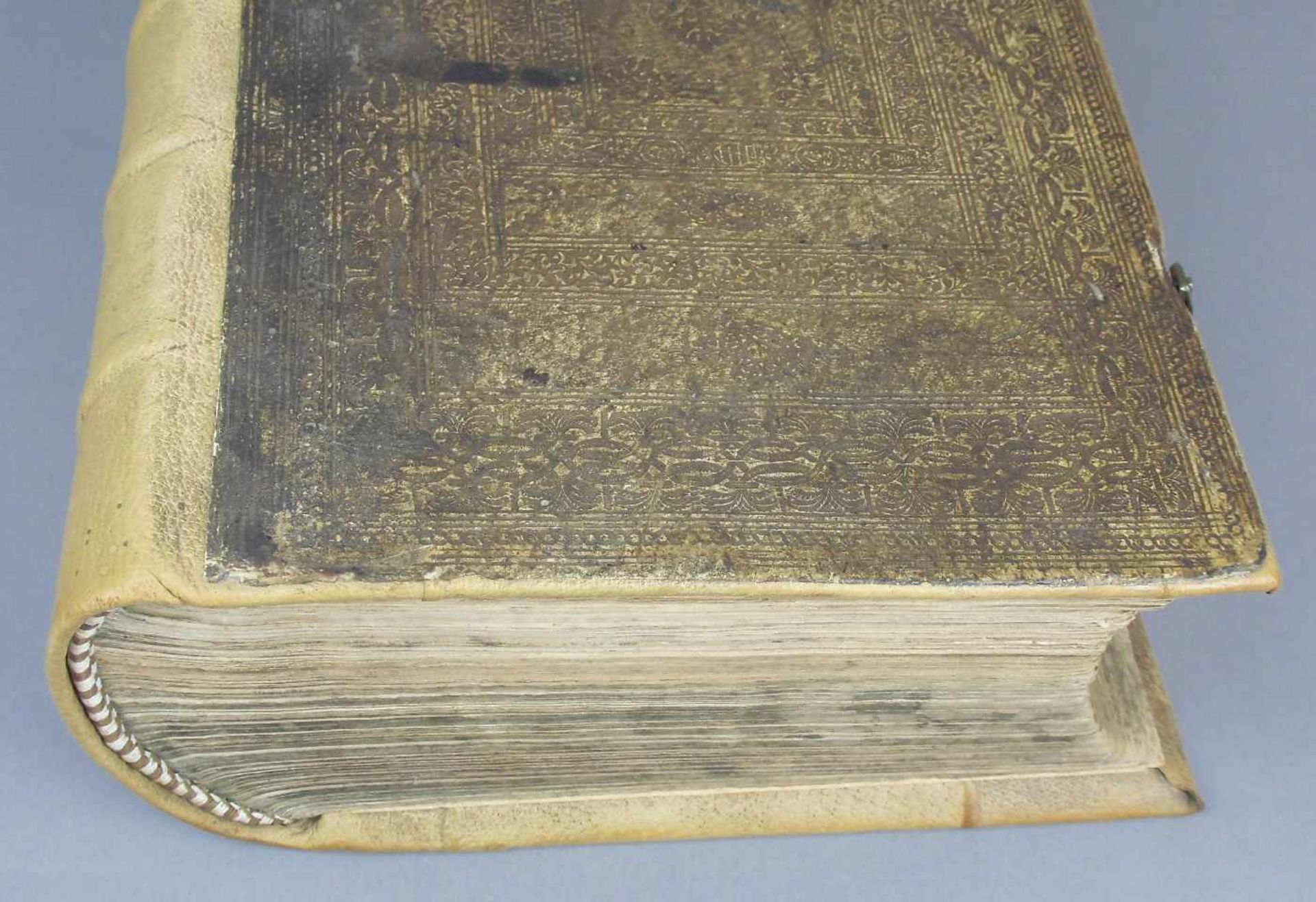 RENAISSANCE BIBEL / LUTHERBIBEL MIT STICHEN VON VIRGIL (auch Virgilus) SOLIS d. Ä. (Nürnberg 1514- - Image 21 of 25