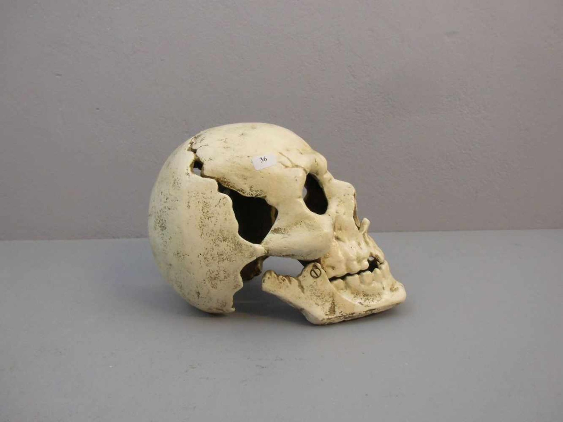 SCHÄDEL / MEMENTO MORI / skull, 20. Jh., Eisen, in leichter Stilisierung naturalistisch gearbeitet - Bild 3 aus 6