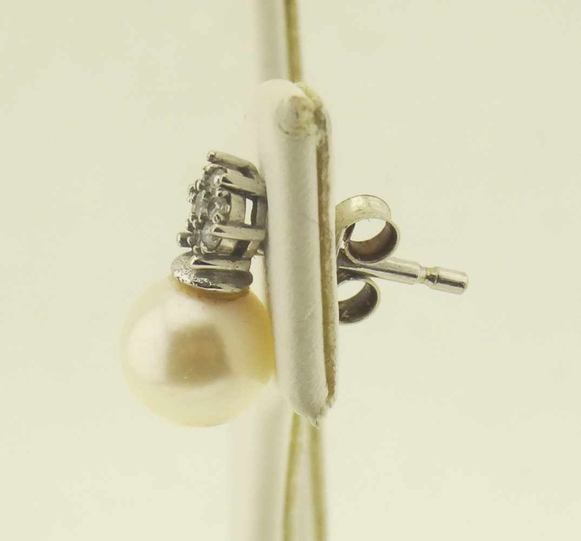 Perlohrstecker in 585 Weißgold mit Silberohrmuttern, Akoya Perlen Durchmesser ca. 7mm, mit weißen - Bild 3 aus 4