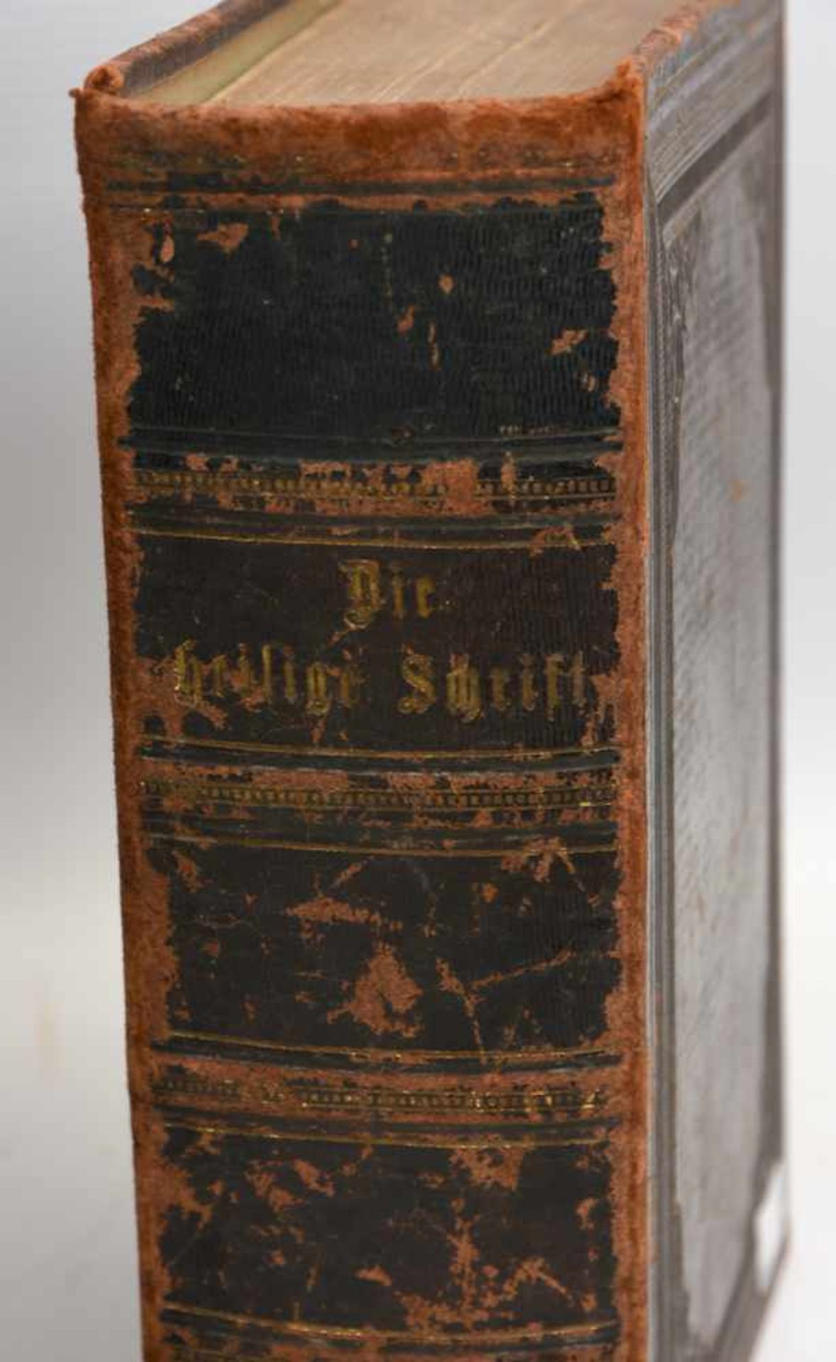 BIBEL UND BIBEL-ILLUSTRATIONEN, gebundene Ausgaben, Britisches Königreich 1840/ Deutsches Reich 1877 - Bild 2 aus 8