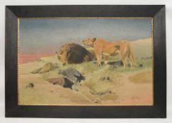H.BOETTCHER:" "Löwenpaar", Öl auf Leinwand, gerahmt und signiert, 1. Viertel 20. Jahrhundert Löwe