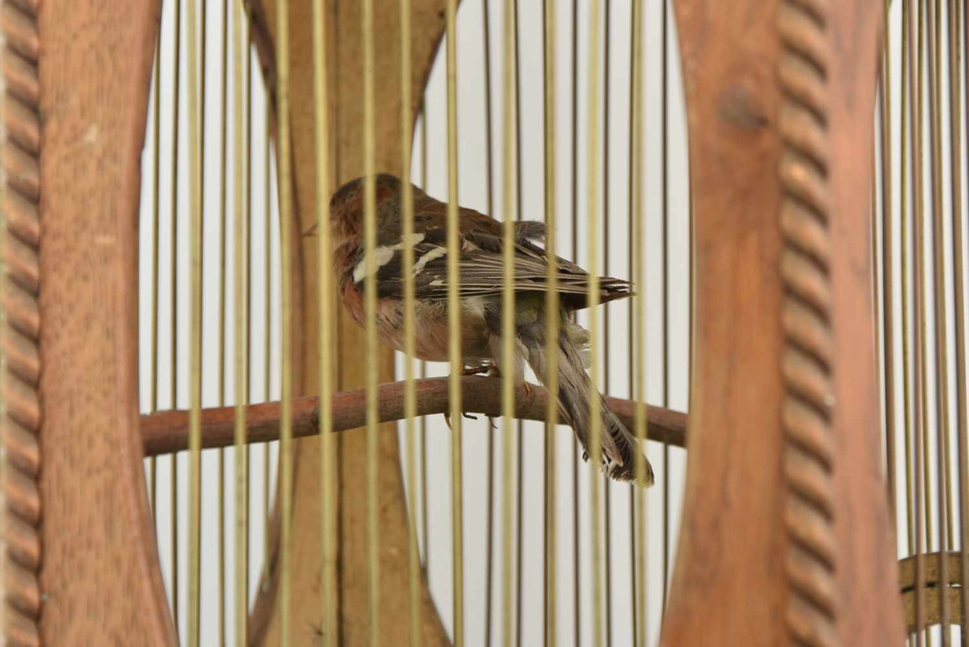 VOGELBAUER MIT SINGVOGEL, Holz/Schmiedeeisen, um 1885 Holzkäfig mit einem auf einer Holzstange - Bild 5 aus 9