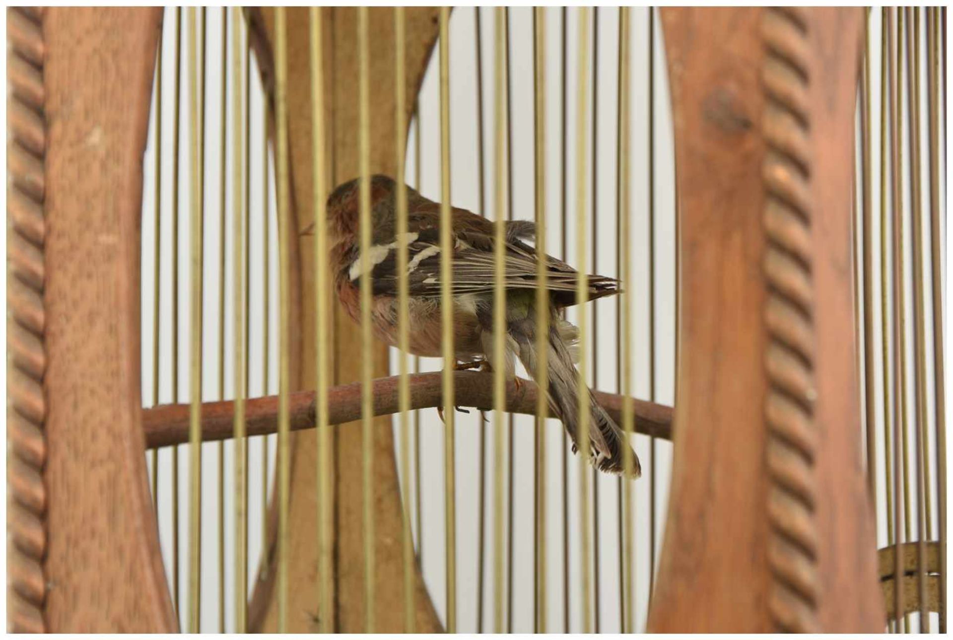 VOGELBAUER MIT SINGVOGEL, Holz/Schmiedeeisen, um 1885 Holzkäfig mit einem auf einer Holzstange - Image 4 of 8