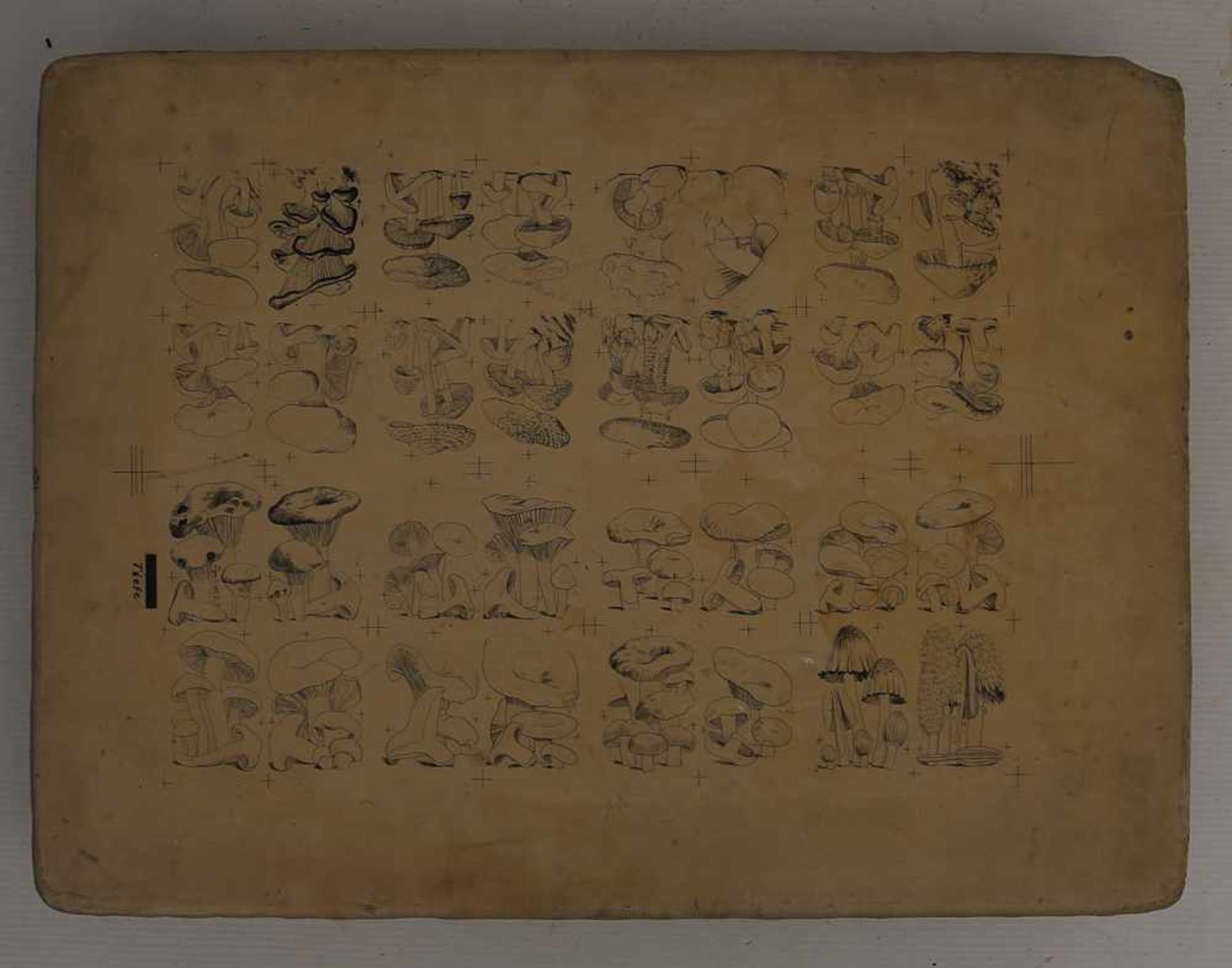 ZWEI DRUCKPLATTEN, Standstein graviert, 1. Hälfte 20. Jahrhundert Zwei Druckplatten aus Sandstein, - Bild 4 aus 5