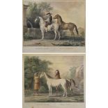 Paar Bartsch, Adam (1757-1821)/Pforr, Johann Georg (1745-1798) "Arabische und Spanische Pferde",