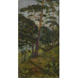 Cracow, G. "Brandenburgische Seenlandschaft" um 1900, Öl/Leinwand, u.l.sign., 63,5x34cm (m.R. 67,