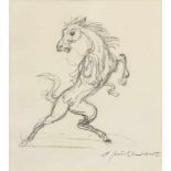 Weber, Paul A. (1893-1980) "Steigendes Pferd", Bleizeichnung, u.r.sign., 21x17cm (m.R. 75x48cm)