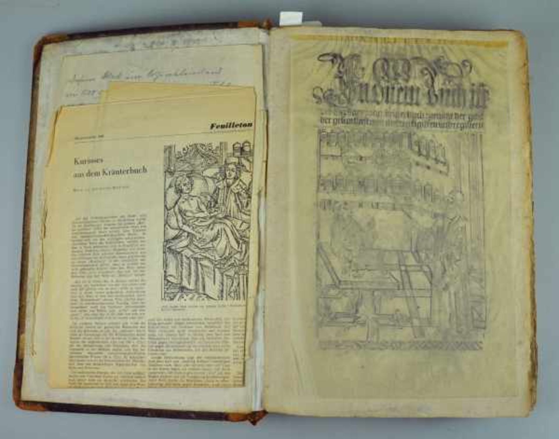 IKUNABEL "HORTUS SANITATIS" Ausgabe Straßburg 1507, ohne Titel, Register der Kapitel zu Latein (4 - Bild 3 aus 5