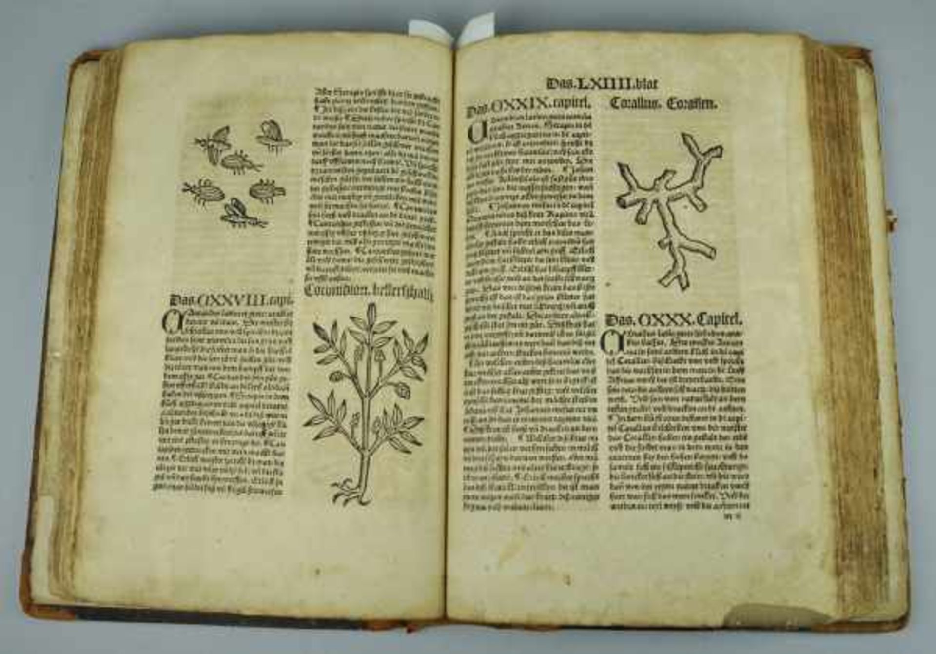 IKUNABEL "HORTUS SANITATIS" Ausgabe Straßburg 1507, ohne Titel, Register der Kapitel zu Latein (4 - Bild 5 aus 5