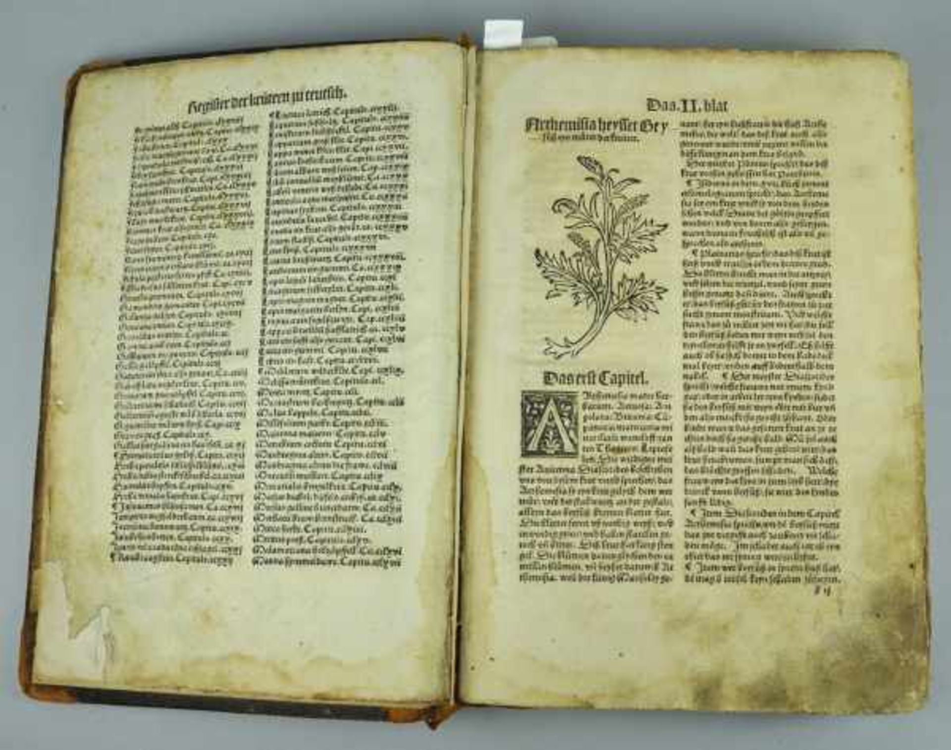 IKUNABEL "HORTUS SANITATIS" Ausgabe Straßburg 1507, ohne Titel, Register der Kapitel zu Latein (4 - Bild 4 aus 5