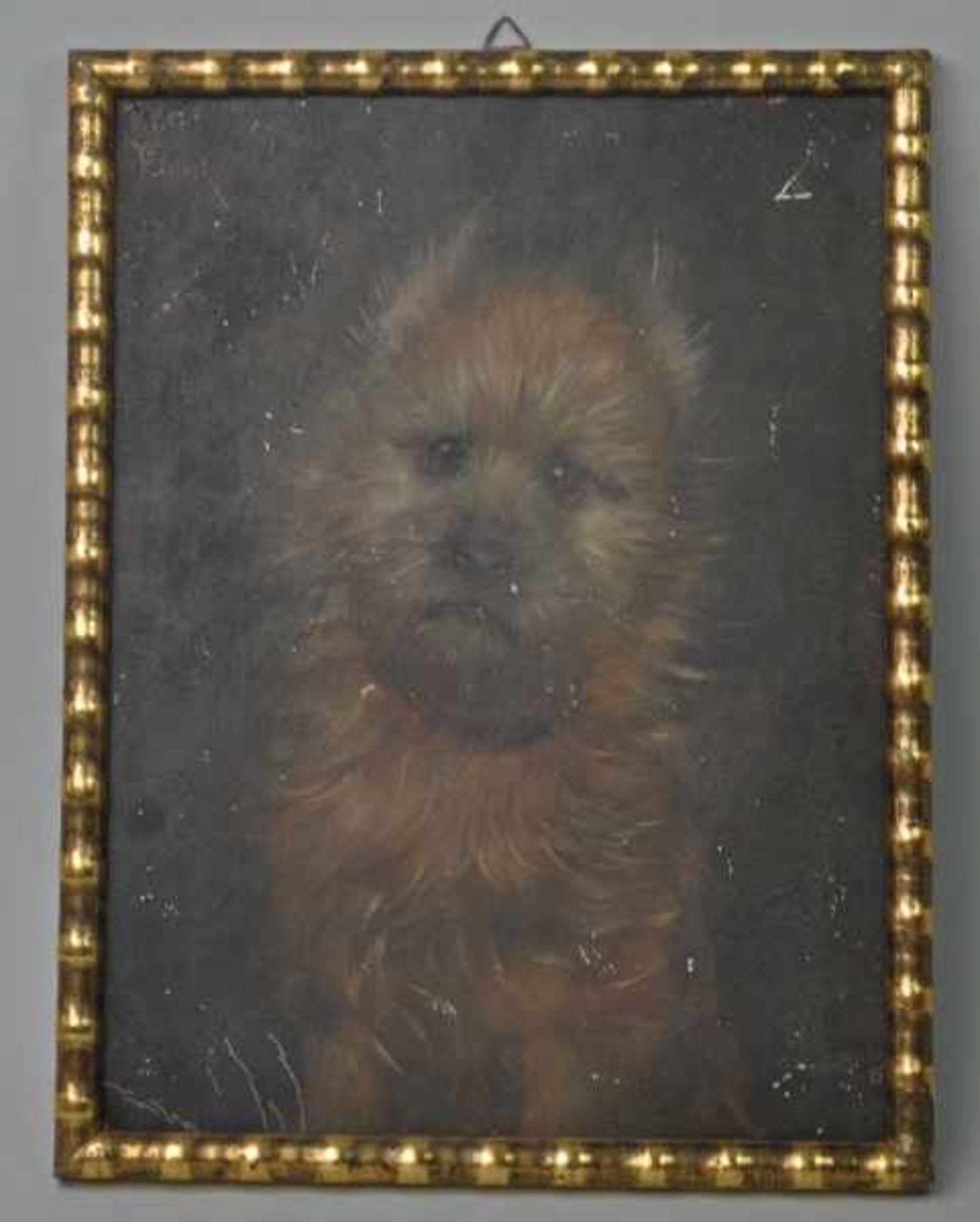 FLOCK (England 19./20.Jh.) "Hundewelpe" mit braunem flauschigem Fell, Öl auf Malkarton, links oben - Image 2 of 3
