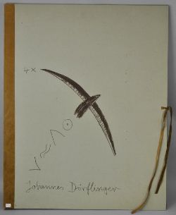 DÖRFLINGER Johannes (1941 Konstanz) Künstlermappe mit 4 Werken, stilisierte Vogelmotive auf