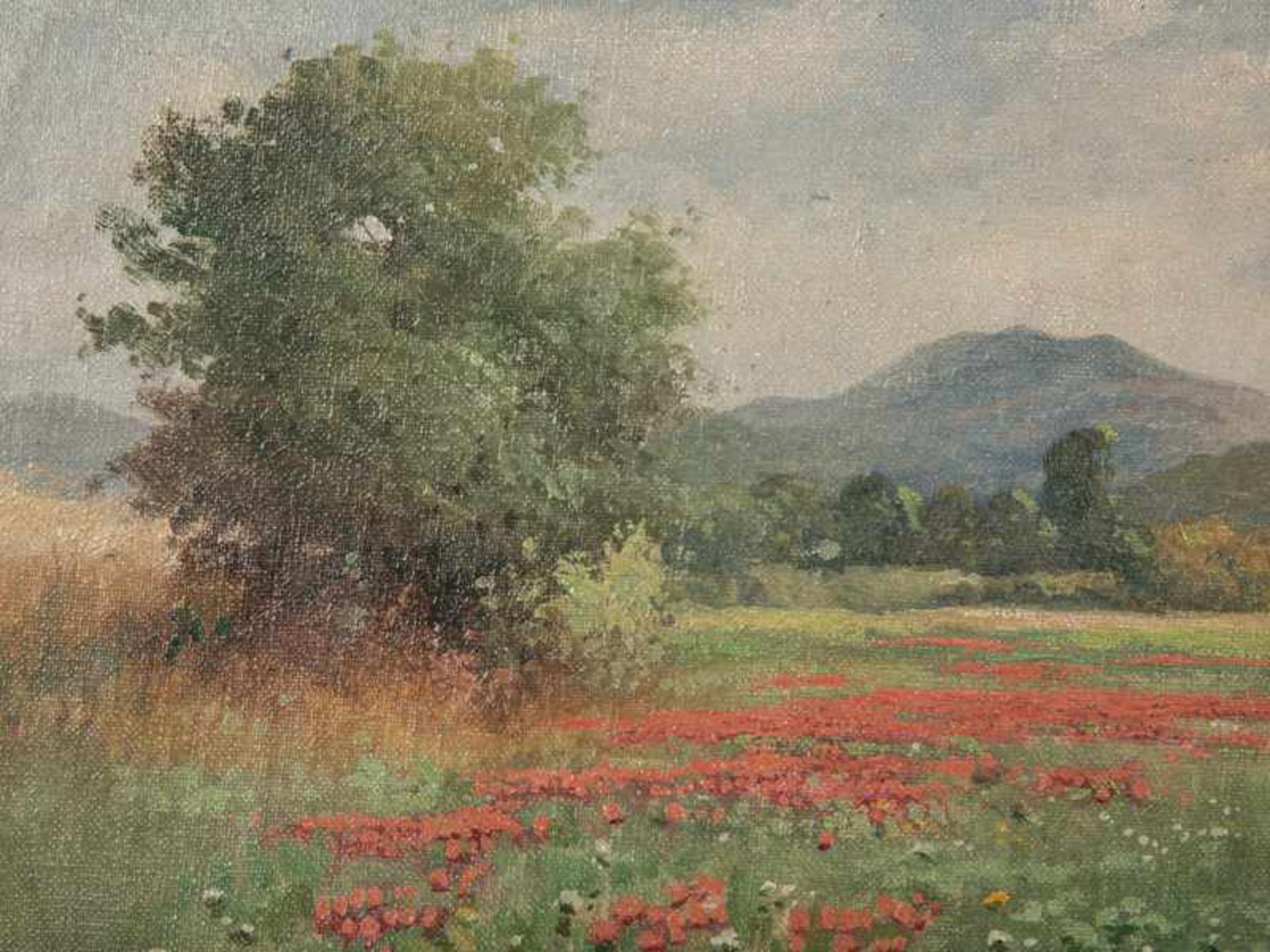 Landschaftsmaler um 1900 ("Zackowsky" ?). Öl auf Leinwand, Wiese mit blühendem Klatschmohn vor - Bild 2 aus 4