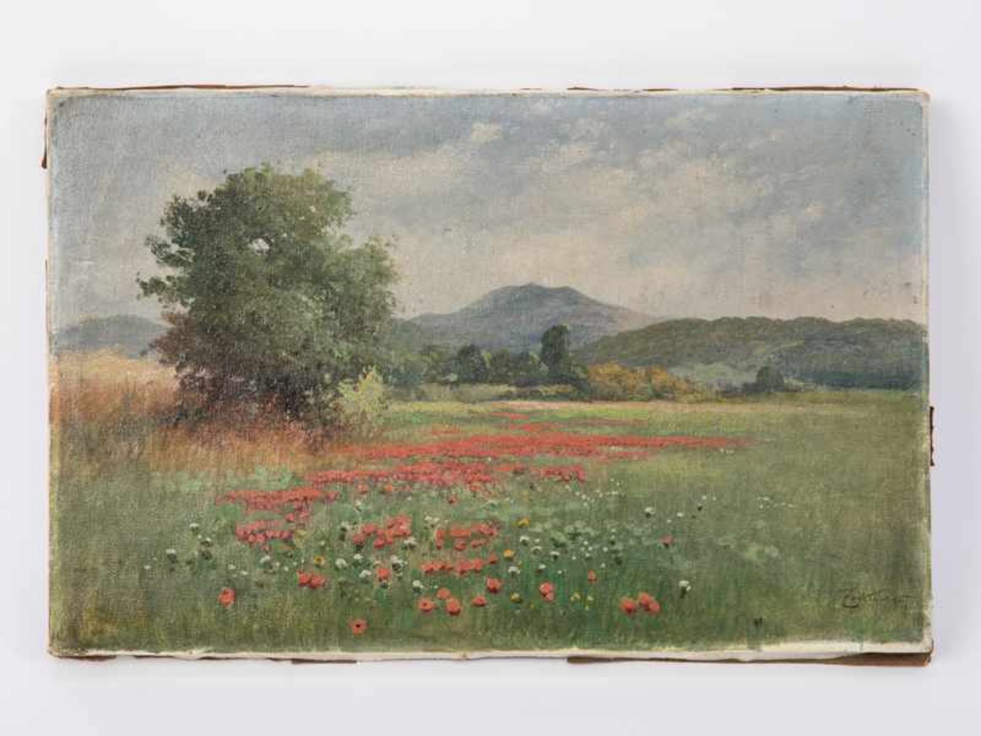 Landschaftsmaler um 1900 ("Zackowsky" ?). Öl auf Leinwand, Wiese mit blühendem Klatschmohn vor