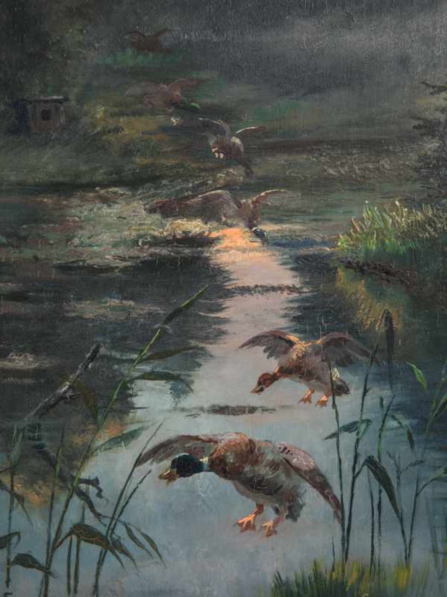 Singer, Albert (1869 - 1922). Öl auf Holz; "Wildenten bei Sonnenuntergang", 1909; Landschaftsszene - Bild 2 aus 4