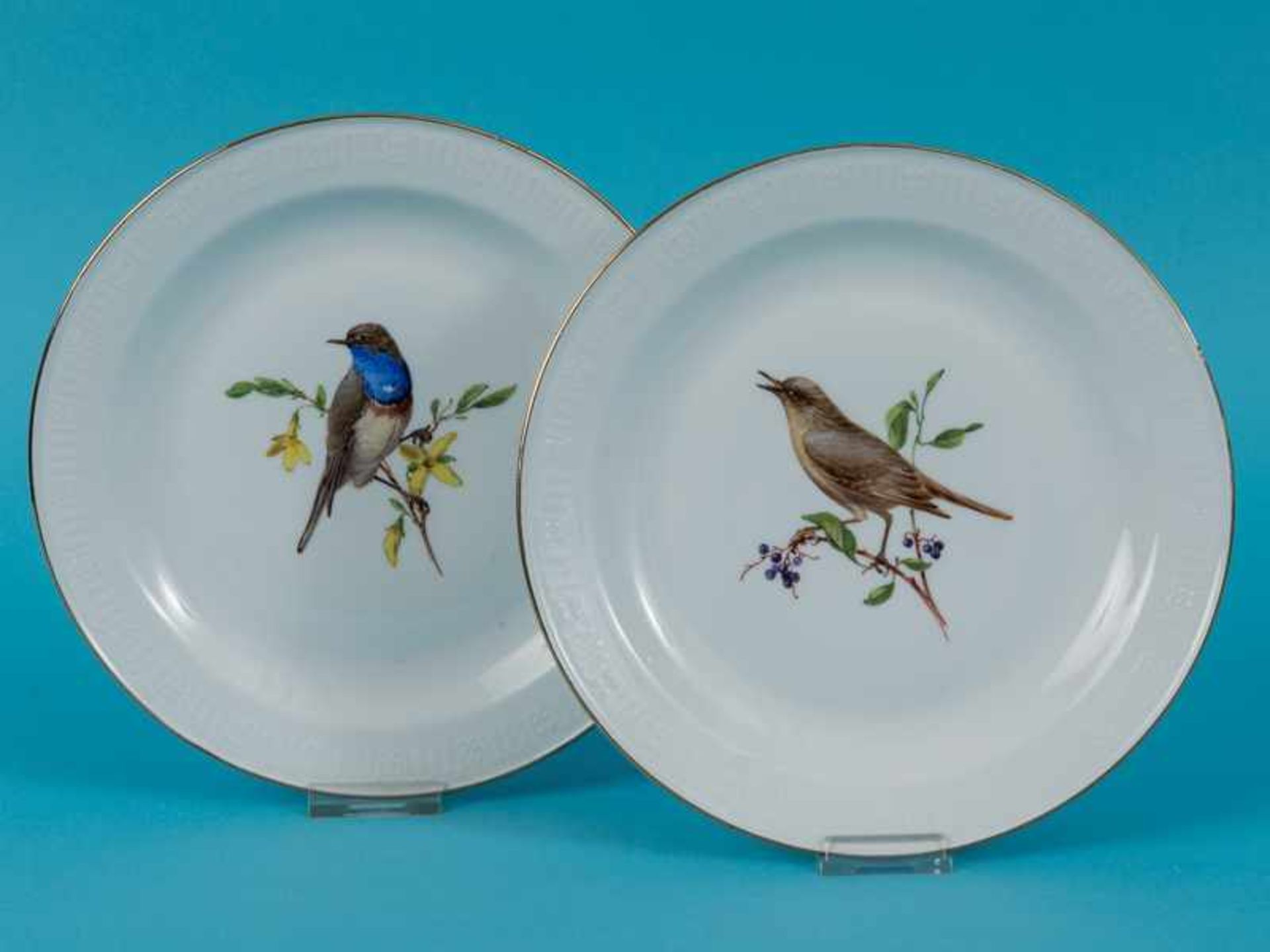 Paar Teller mit Vogel-Motiven, Meissen, 1924/ 34 (Pfeiffer-Zeit). Weißporzellan mit polychromer