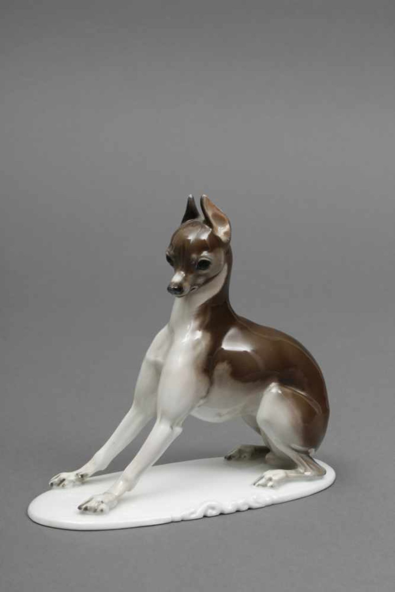 ROSENTHAL figürliches Porzellan ¨Rehpinscher¨ um 1921/22, Entwurf Theodor Kärner (1884-1966), Modell