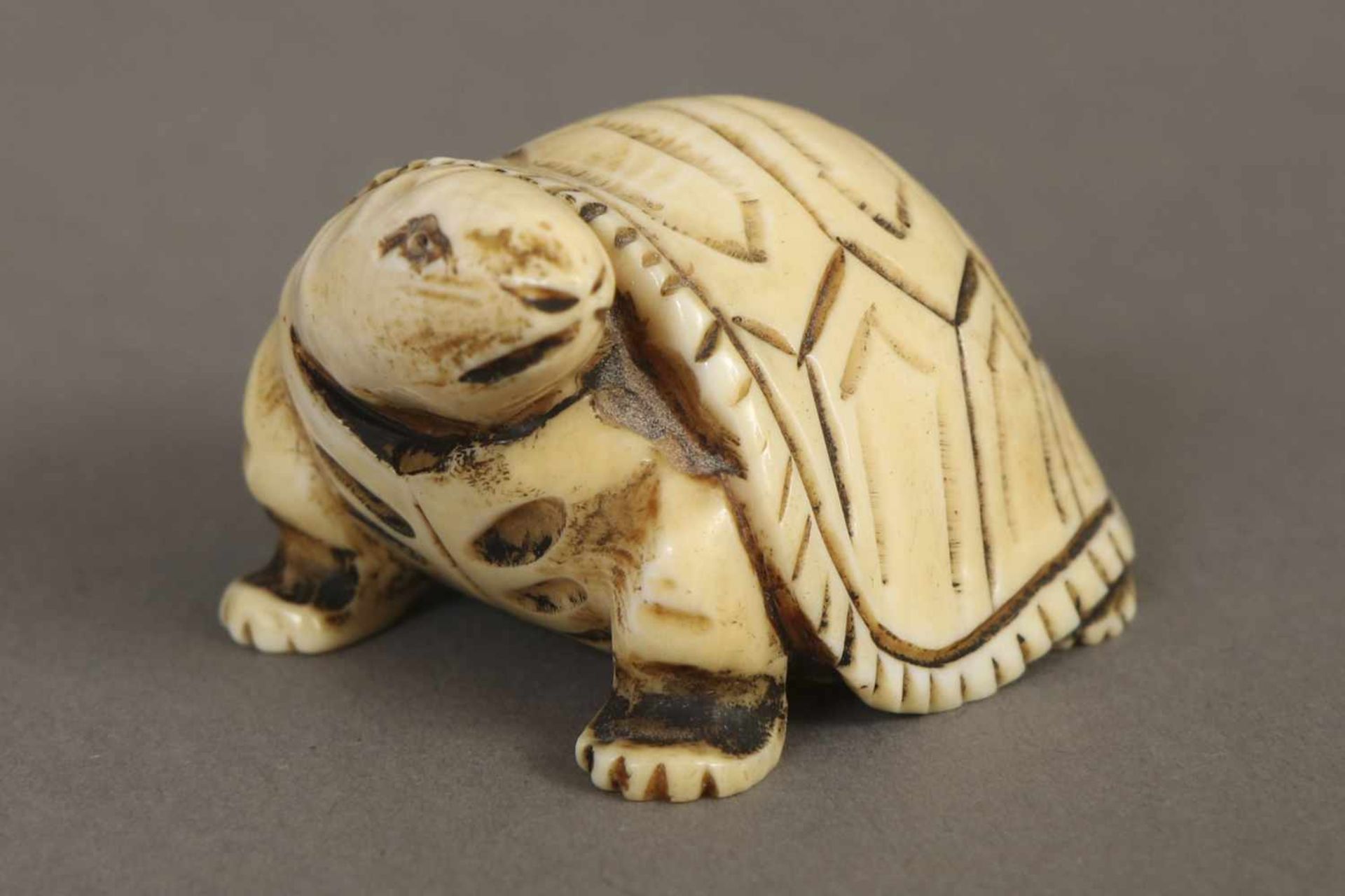 Netsuke ¨Schildkröte¨Bein, Japan, Meiji (um 1910), am Boden signiert, L ca. 4cm - Bild 2 aus 2