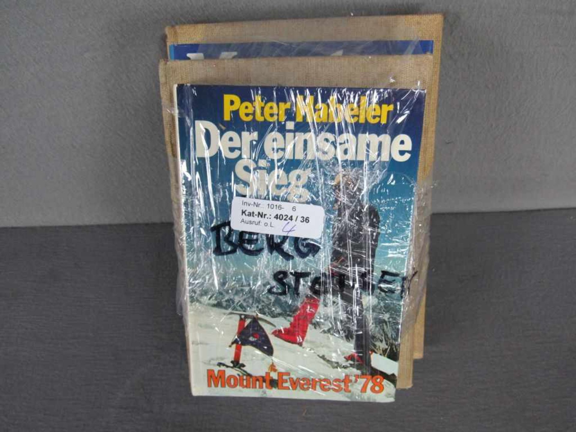 4 Bücher über Bergsteigen und Matterhorn