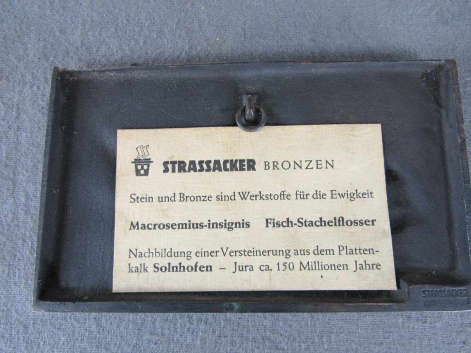 Bronzeplatte Strassacker Darstellung Stachelflosserfisch 15,5x9cm - Bild 2 aus 2