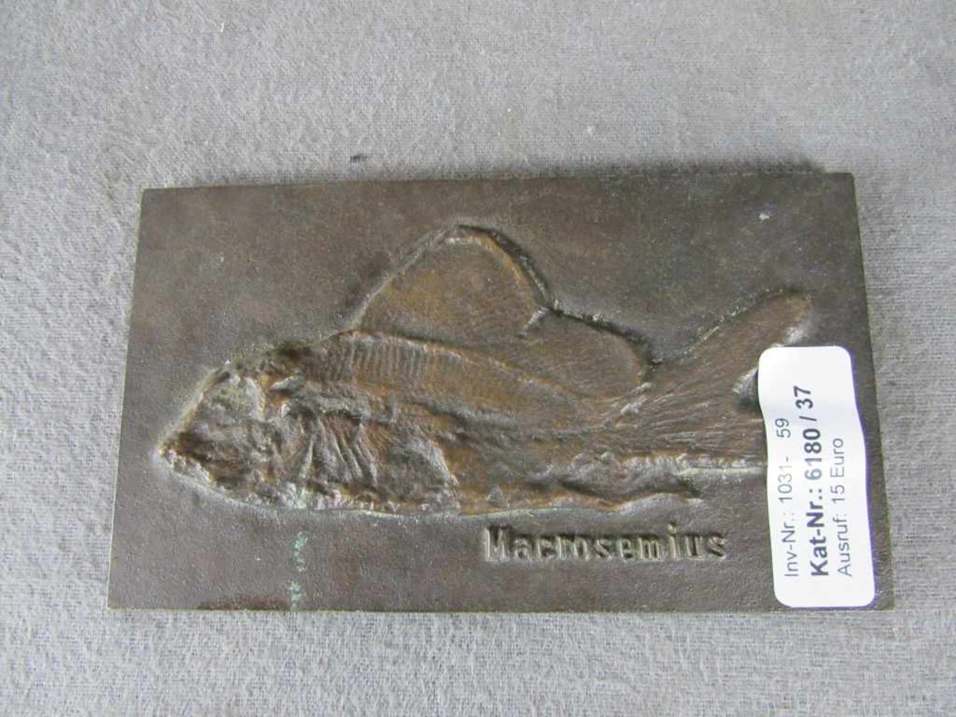 Bronzeplatte Strassacker Darstellung Stachelflosserfisch 15,5x9cm