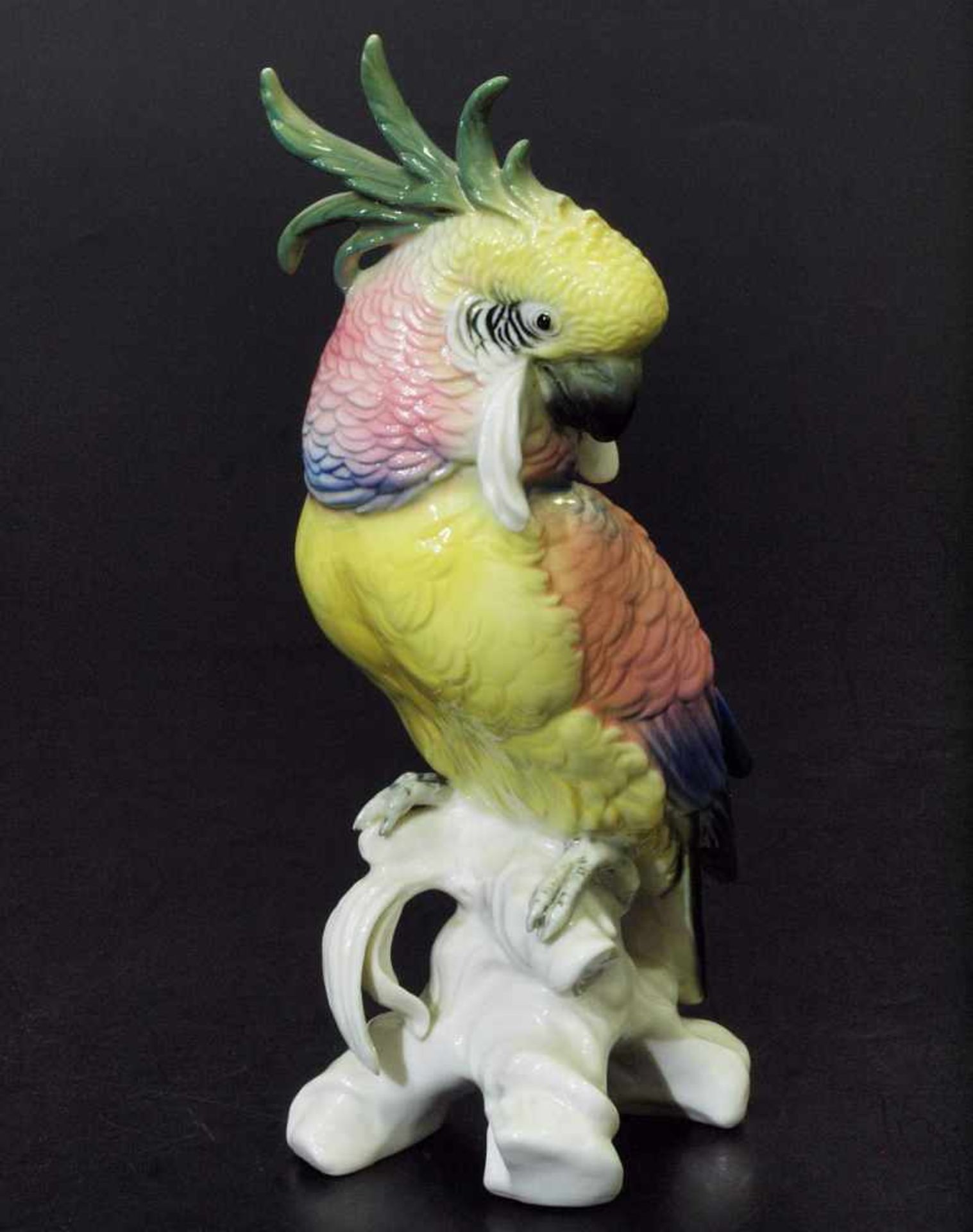 Papagei auf Ast sitzend, den Kopf seitlich gedreht. Papagei auf Ast sitzend, den Kopf seitlich - Image 2 of 6