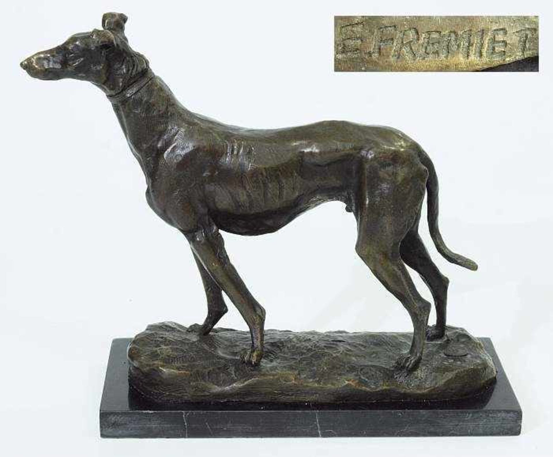 Wachsamer stehender Jagdhund. Wachsamer stehender Jagdhund, 20. Jahrhundert. Bronze, dunkel
