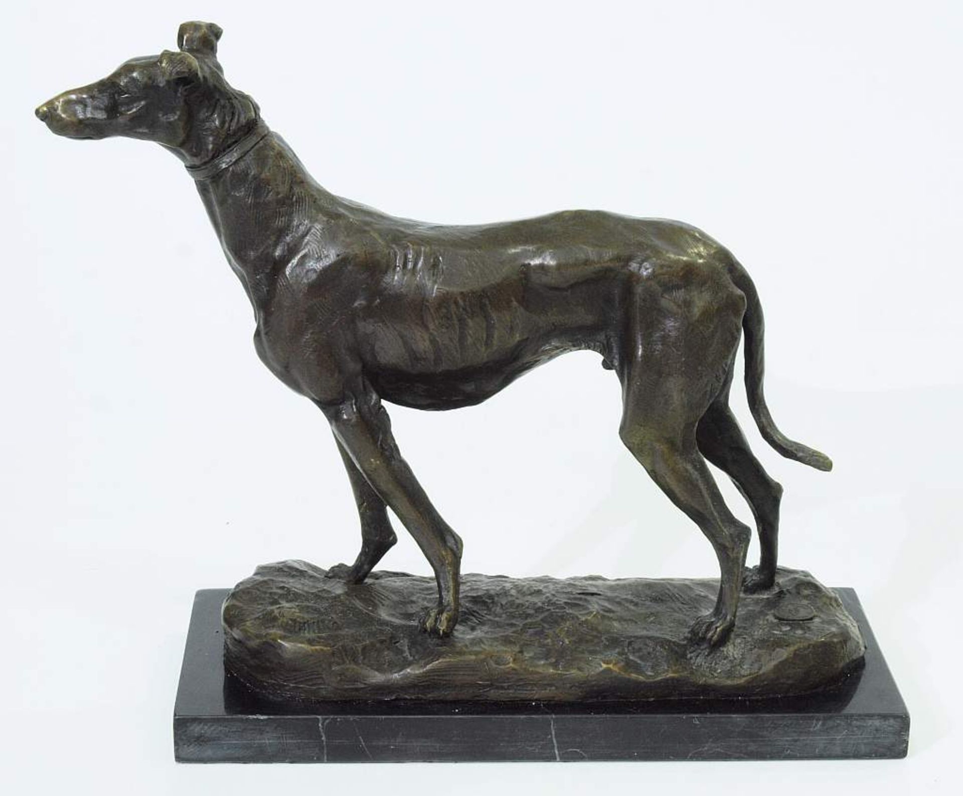 Wachsamer stehender Jagdhund. Wachsamer stehender Jagdhund, 20. Jahrhundert. Bronze, dunkel - Image 2 of 7