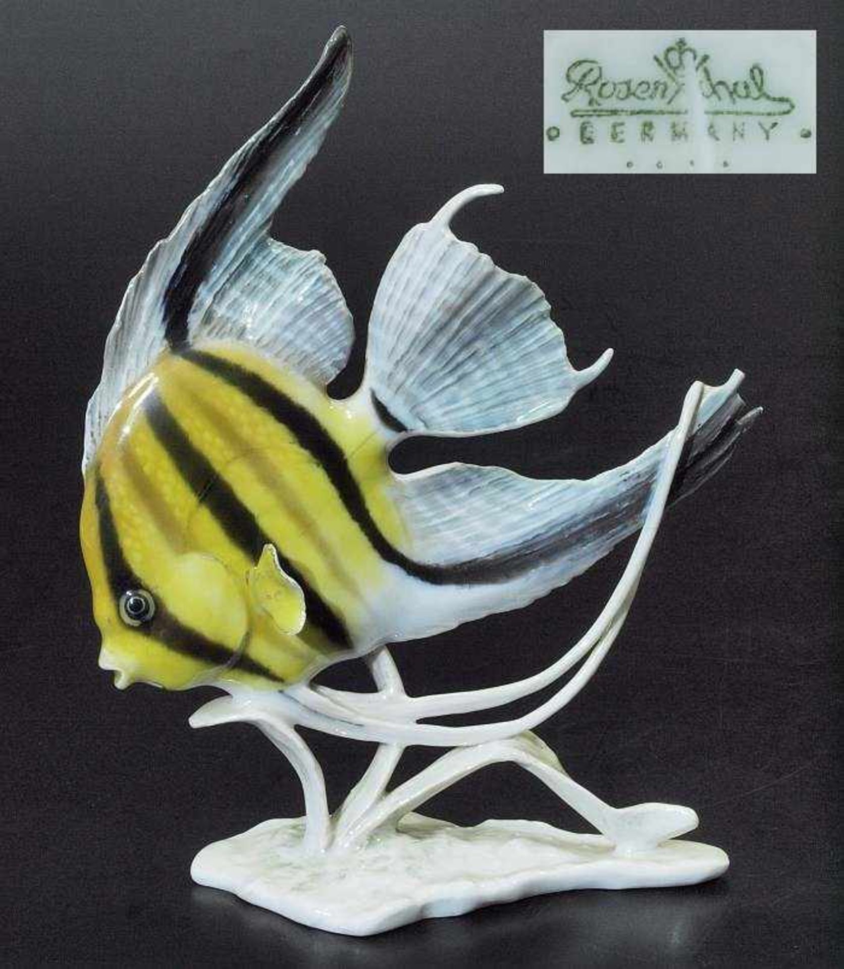 Tierfigur "Skalar" (Zierfisch).Tierfigur "Skalar" (Zierfisch). ROSENTHAL Germany, handgemalt.