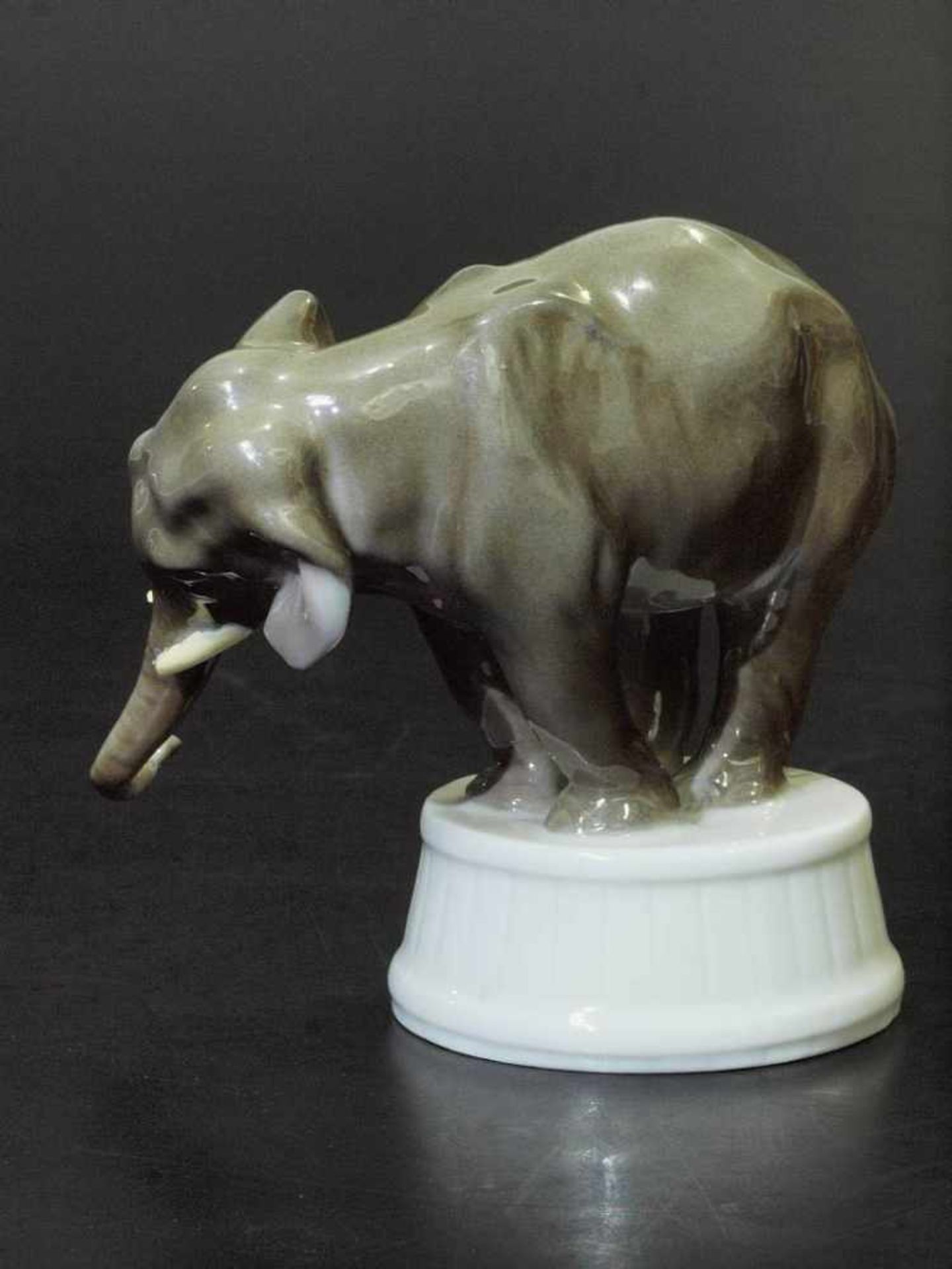 Asiatischer Elefant auf Zirkustrommel. ROSENTHAL. Asiatischer Elefant auf Zirkustrommel. ROSENTHAL - Image 3 of 6