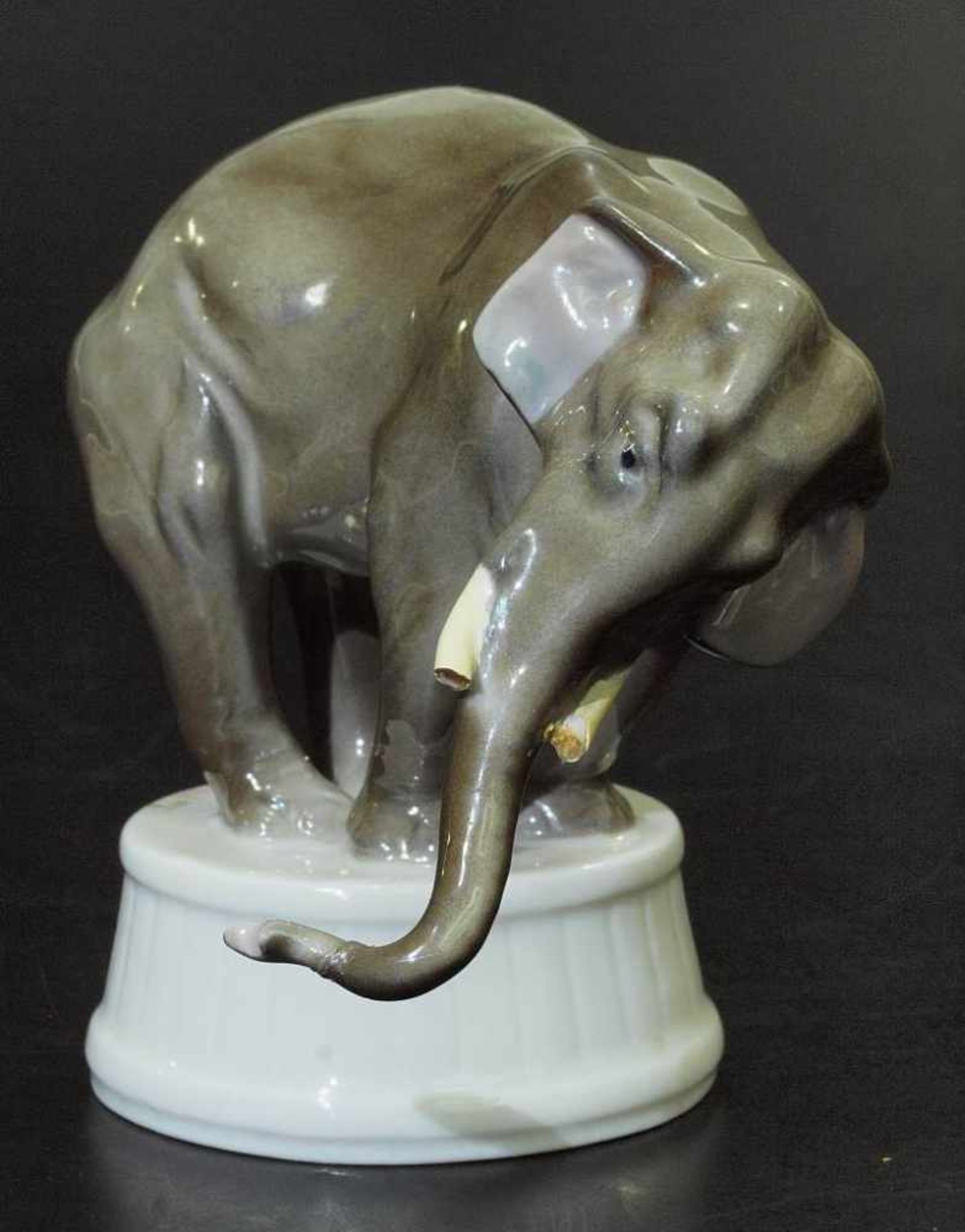 Asiatischer Elefant auf Zirkustrommel. ROSENTHAL. Asiatischer Elefant auf Zirkustrommel. ROSENTHAL - Image 4 of 6