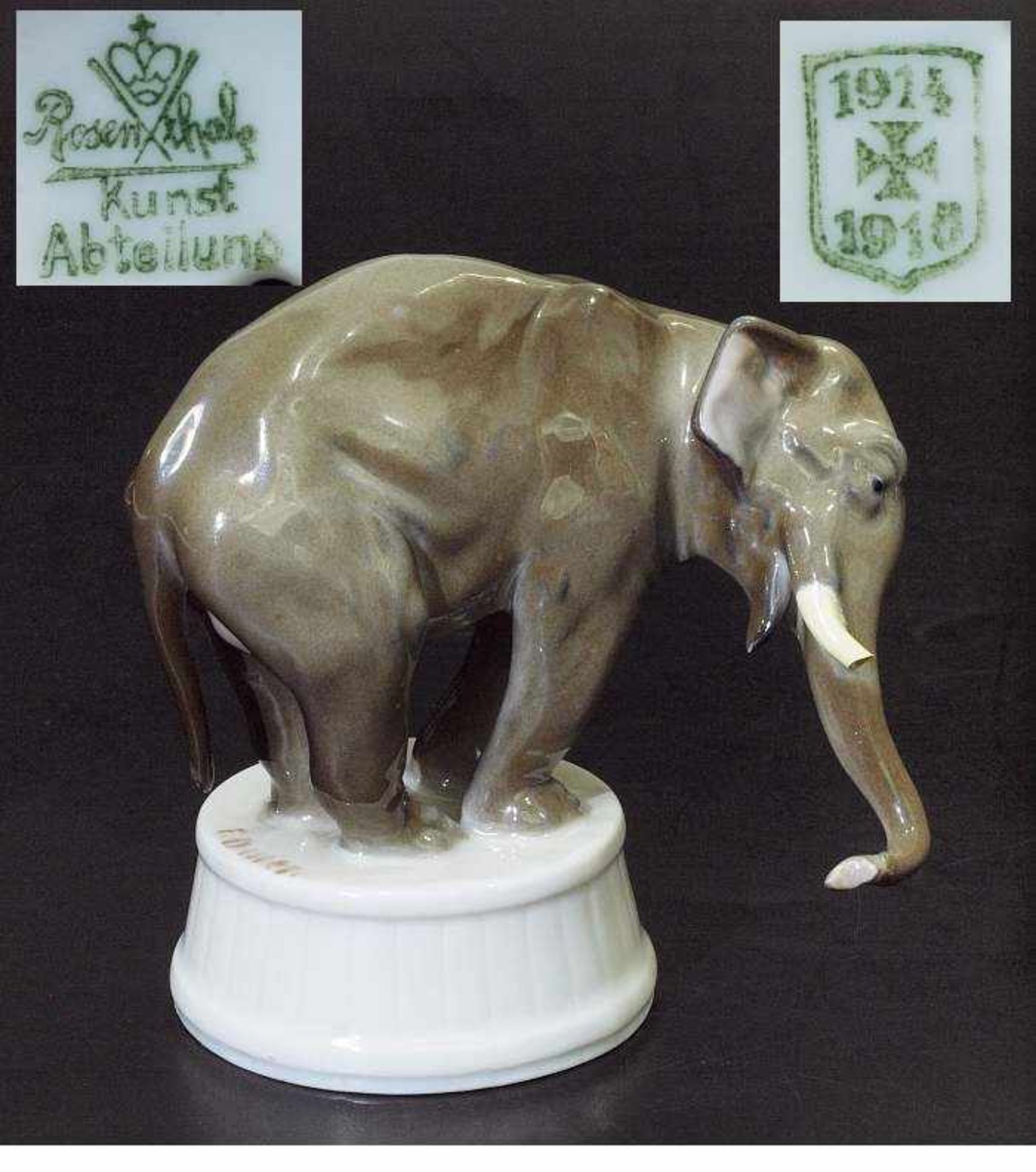 Asiatischer Elefant auf Zirkustrommel. ROSENTHAL. Asiatischer Elefant auf Zirkustrommel. ROSENTHAL