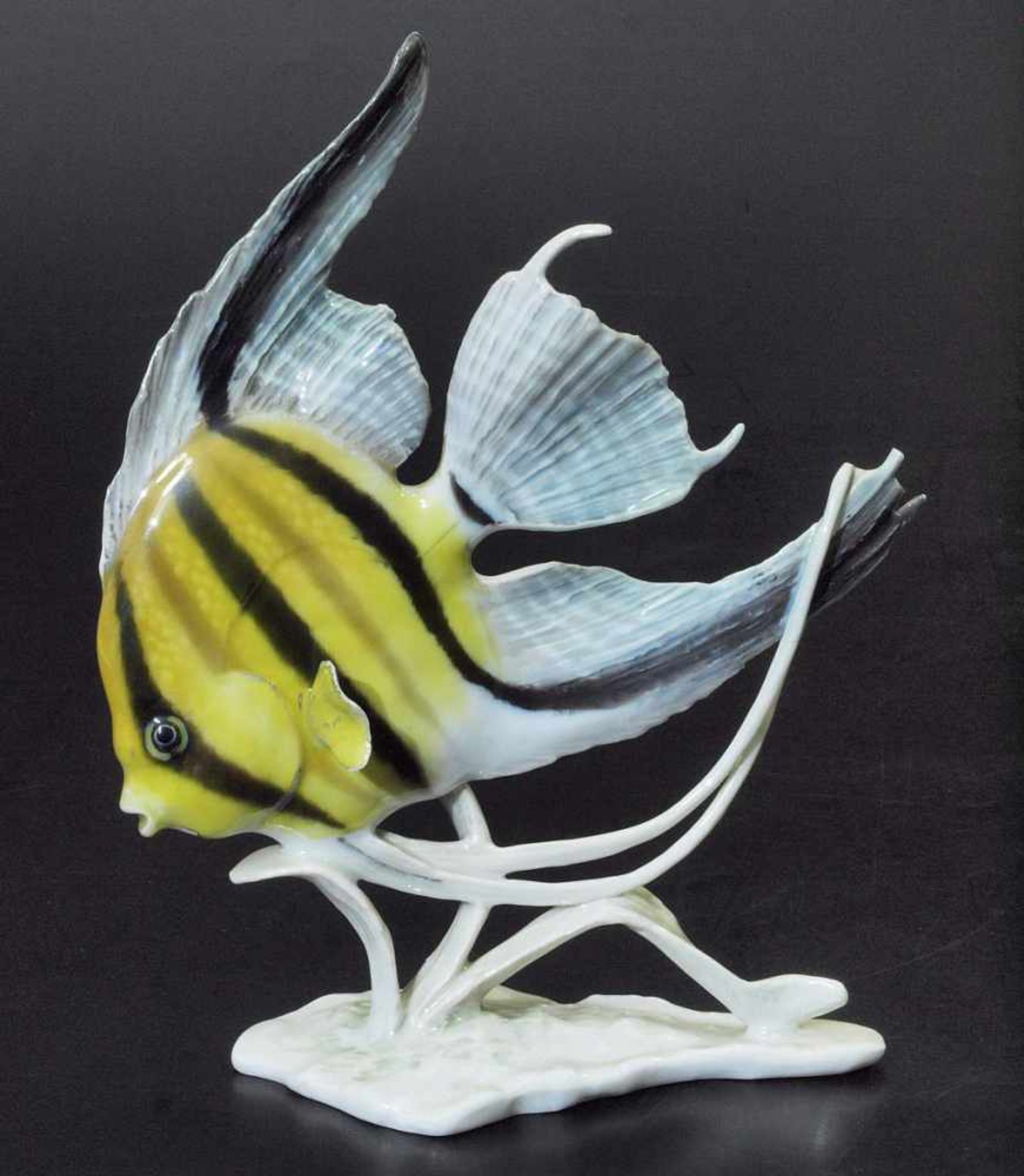 Tierfigur "Skalar" (Zierfisch).Tierfigur "Skalar" (Zierfisch). ROSENTHAL Germany, handgemalt. - Bild 2 aus 4