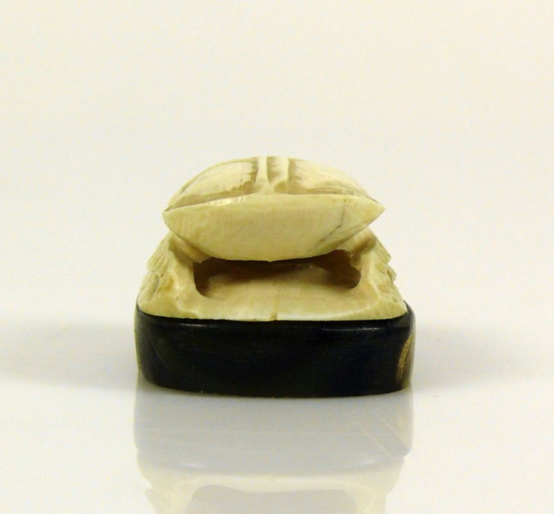 Käfer (Japan, um 1900) Elfenbein; auf ovalem Sockel; 2,5 x 4,5 x 3 cm - Bild 3 aus 7