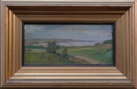 Grewe, Fritz (Malchin 1863 - 1931) "Blick über Wiesen auf Malchiner See" (Mecklenburgische