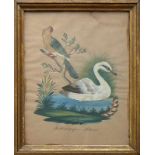 Vogel-Federbild (19.Jh.) "Rother Papagei und Schwan"; hinter Glas gerahmt; ca. 27 x 21 cm