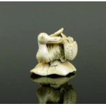 Netsuke (Japan, um 1900) "Pelikan mit Schildkröte"; Elfenbein; Bodenunterseite sign.; 3 x 4 x 3 cm