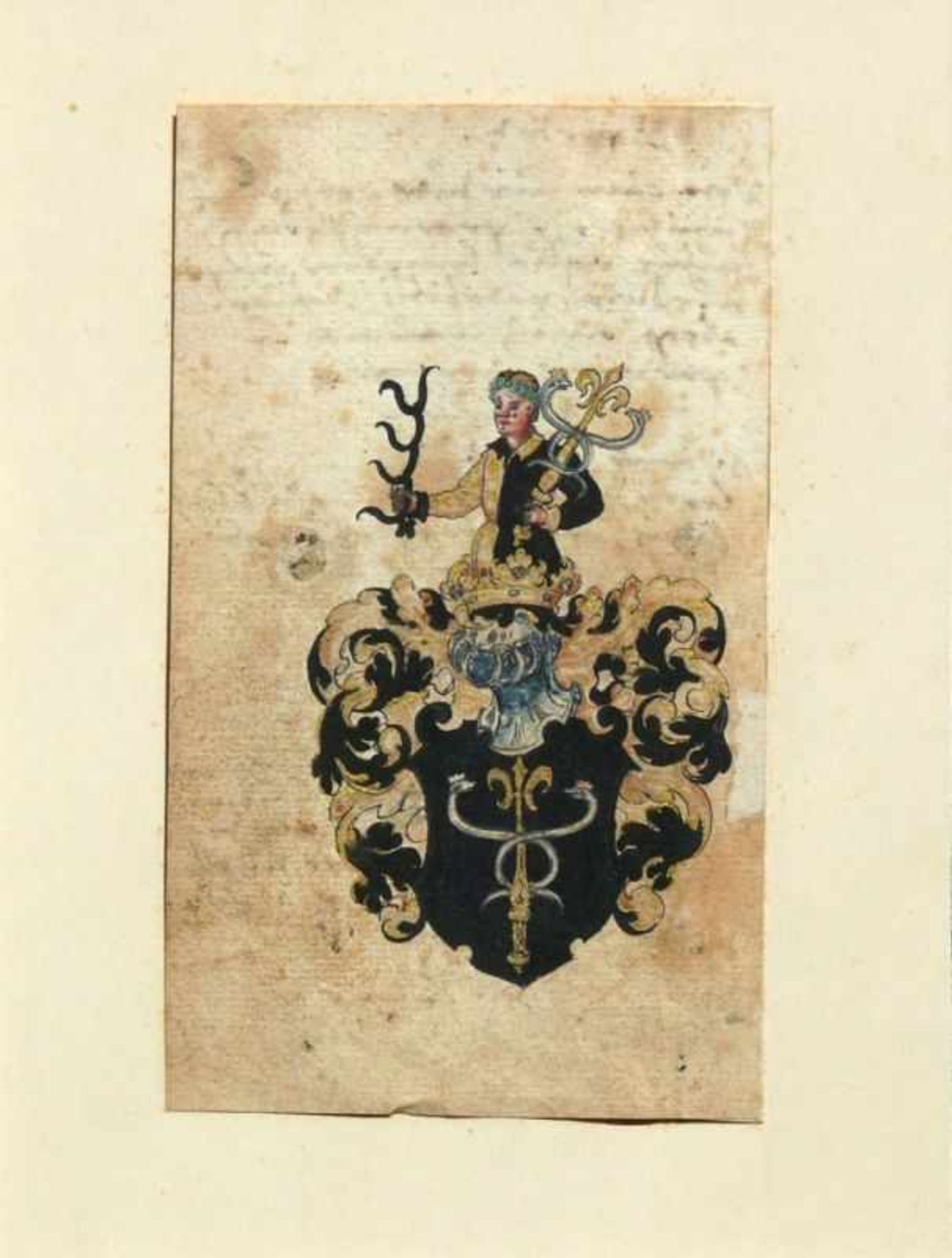 2 div. Wappendarstellungen (Ende 16.Jh.) in schwarz und gold bzw. blau, gelb und schwarz gemalte - Bild 3 aus 7
