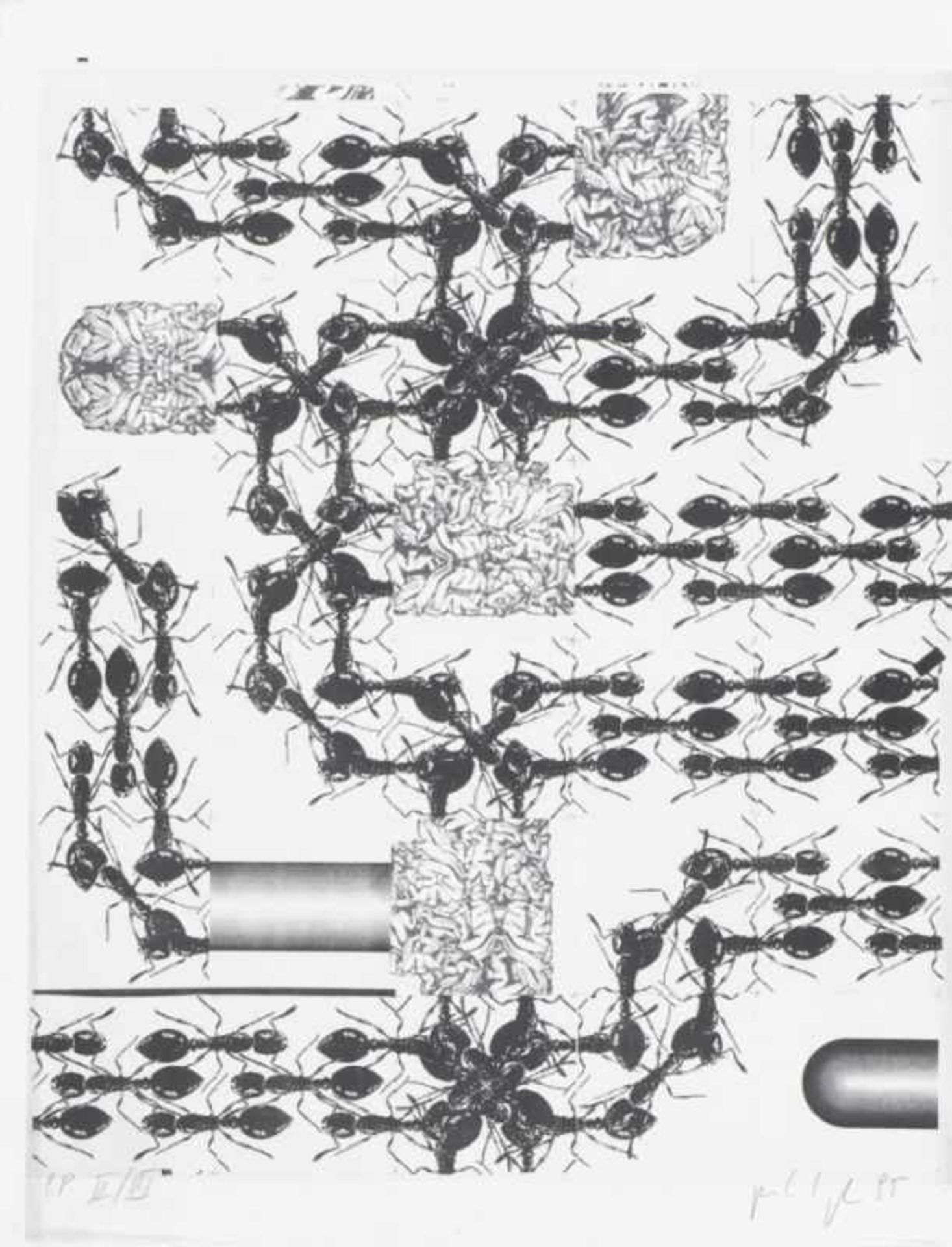 PETER KOGLER(1959 INNSBRUCK)PORTFOLIO (Ameisen), 1995Sieben zweifarbige Siebdrucke auf Arches - Bild 4 aus 8