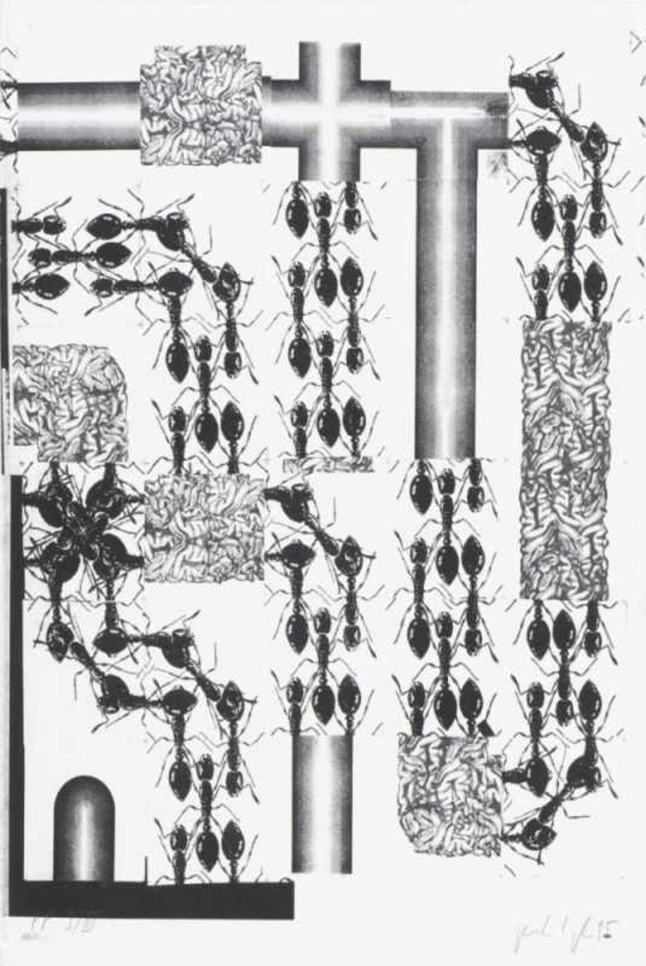PETER KOGLER(1959 INNSBRUCK)PORTFOLIO (Ameisen), 1995Sieben zweifarbige Siebdrucke auf Arches - Bild 5 aus 8