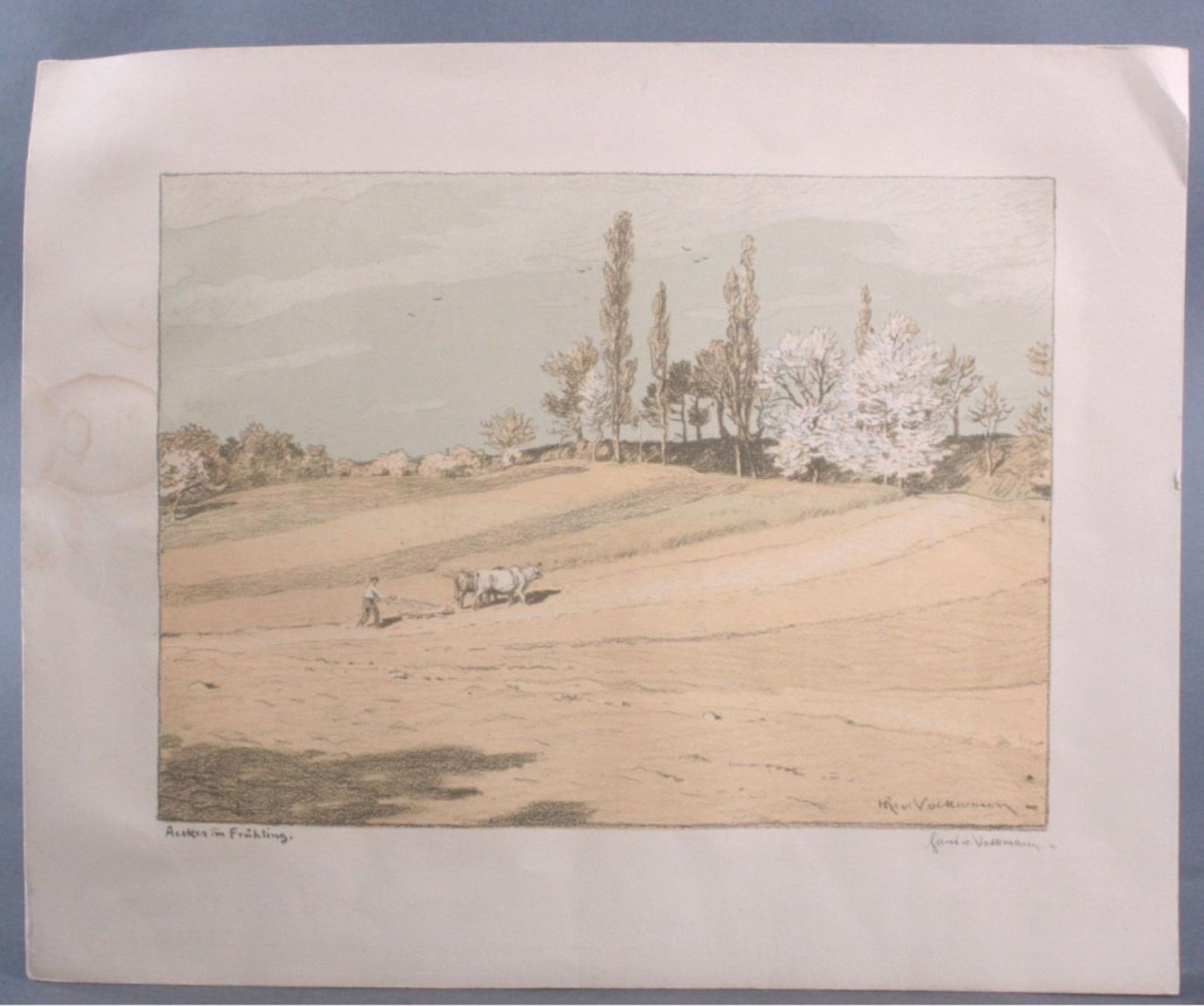 Hans Richard von Volkmann 1860 - 1927Farblithographie "Acker im Frühling", in der Plattesigniert,