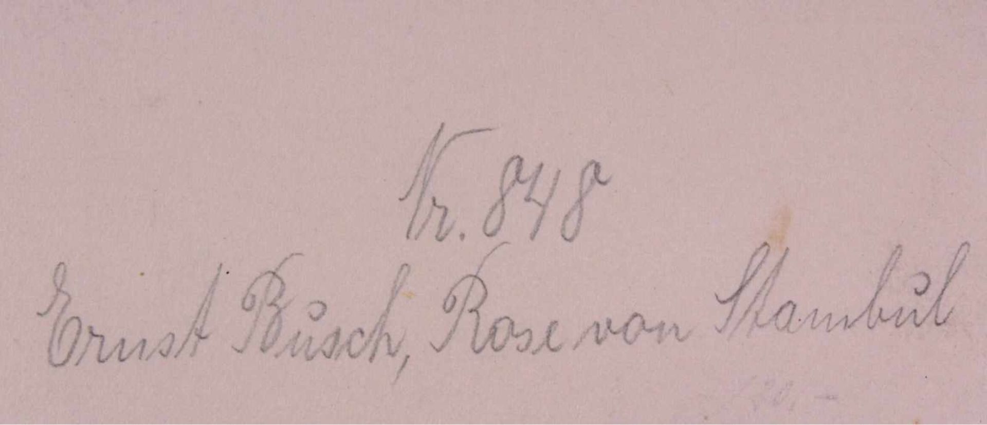 Ernst Busch, Rosen von IstanbulFarbradierung, unten rechts mit Bleistift signiert, versobetitelt und - Bild 5 aus 5